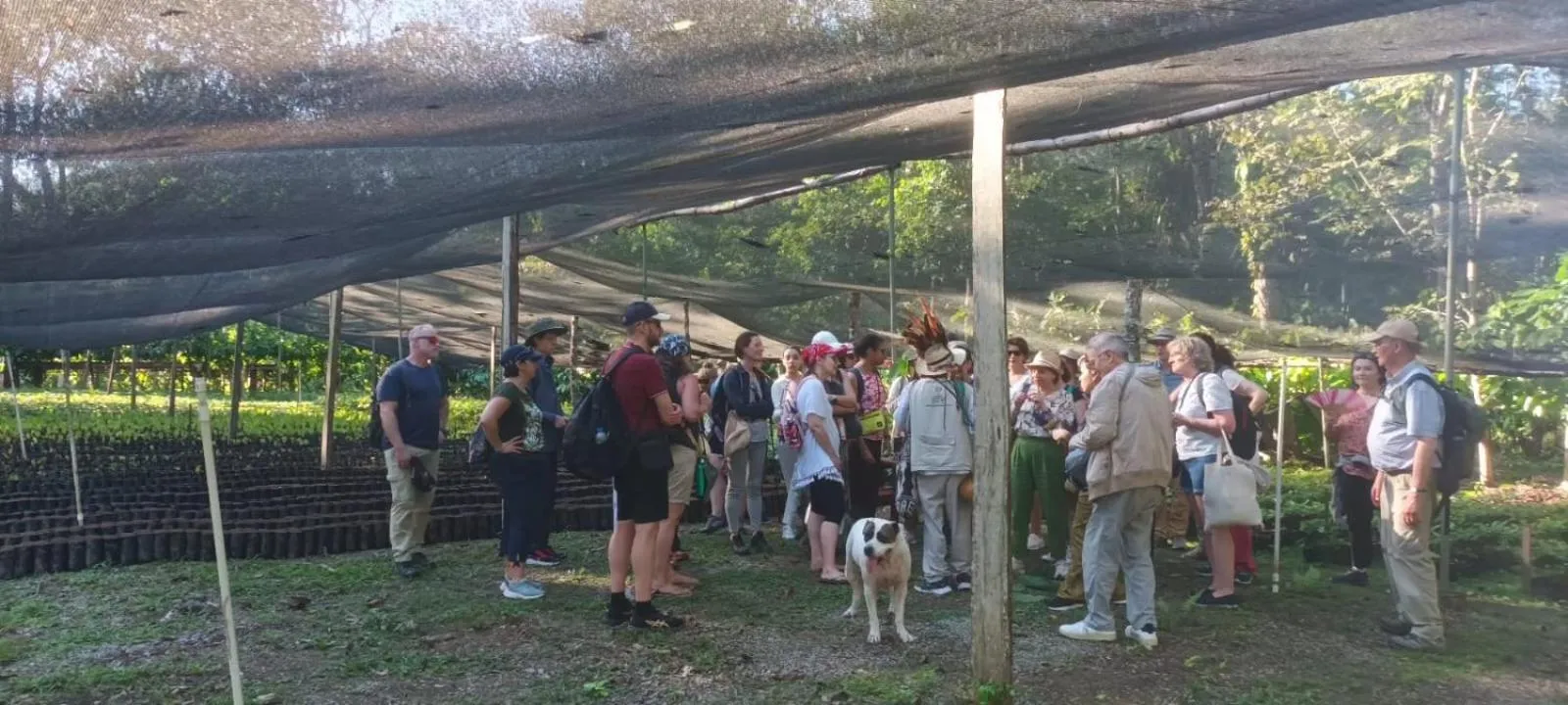 Spring in Tortugal Boutique River Lodge