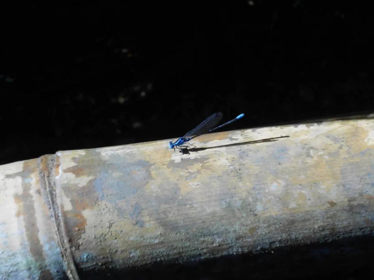 Night in Tortugal Boutique River Lodge