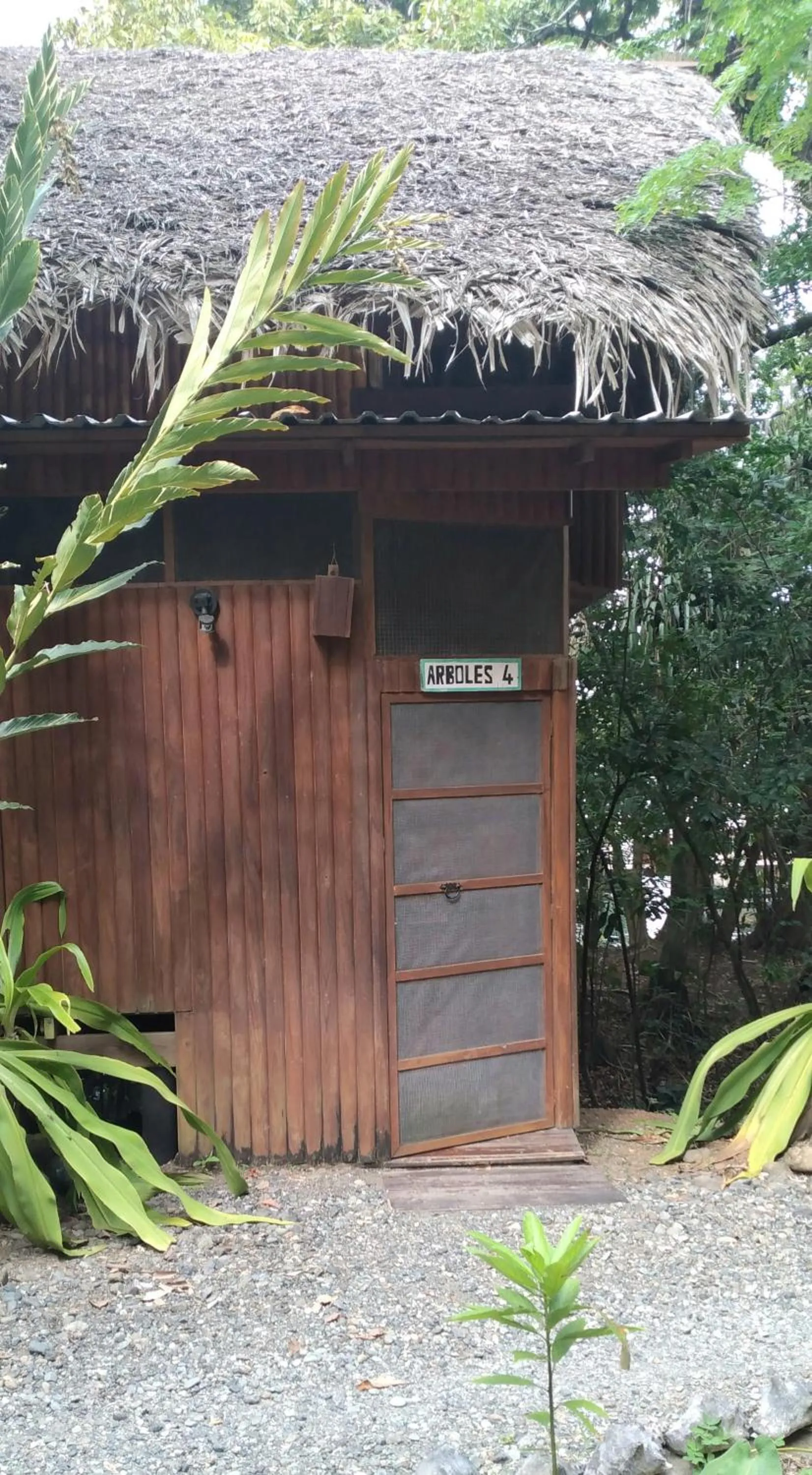 Property building in Tortugal Boutique River Lodge