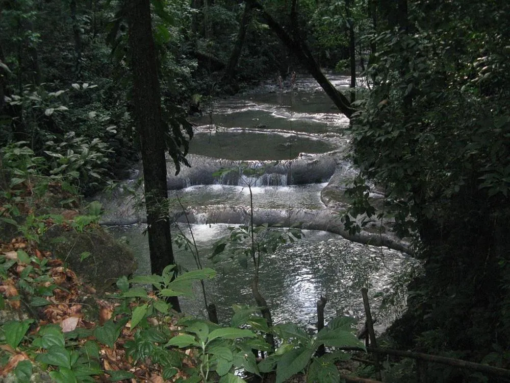 Nearby landmark in Tortugal Boutique River Lodge