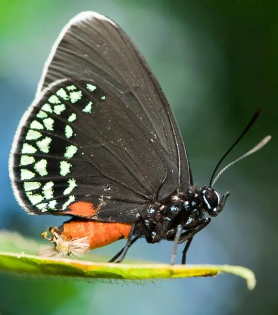 Property building in Tortugal Boutique River Lodge