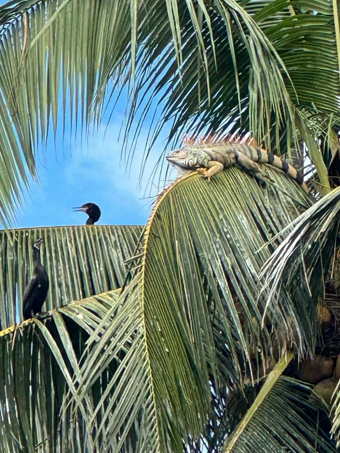 Day in Tortugal Boutique River Lodge