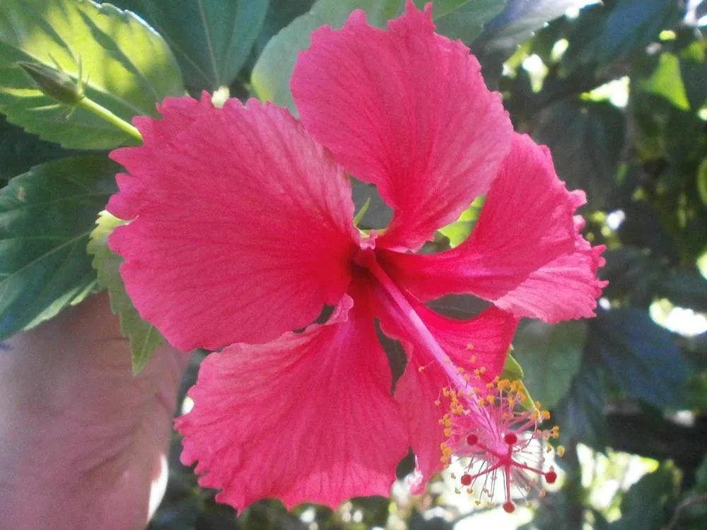 Property building in Tortugal Boutique River Lodge