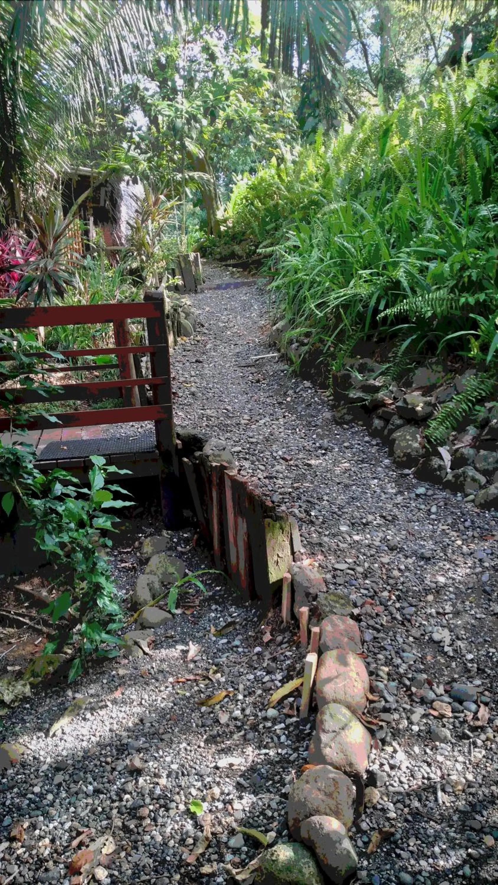 Spring in Tortugal Boutique River Lodge