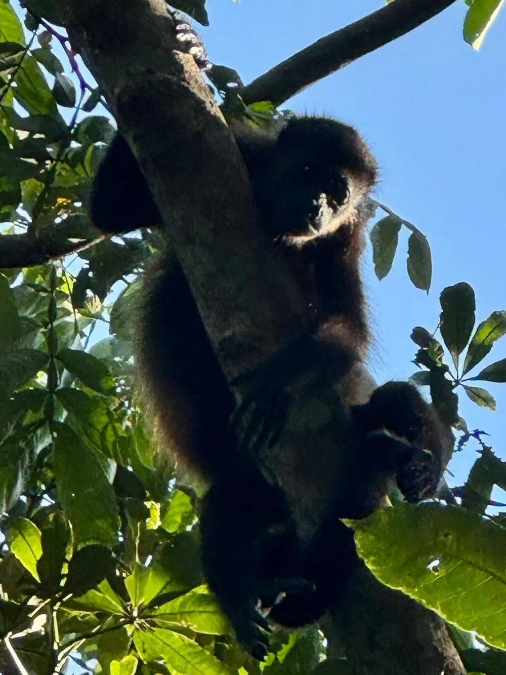 Day in Tortugal Boutique River Lodge