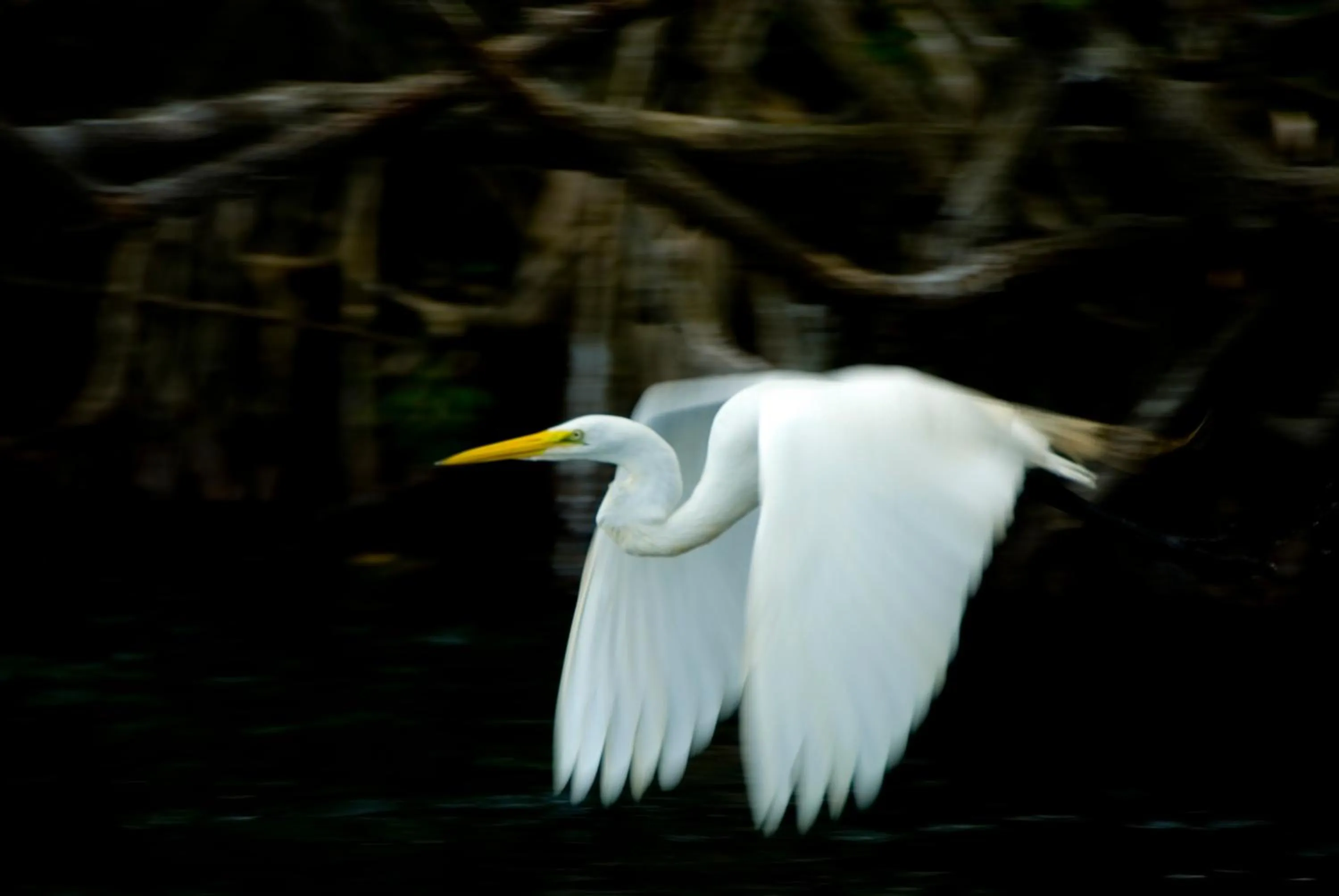 Property building in Tortugal Boutique River Lodge