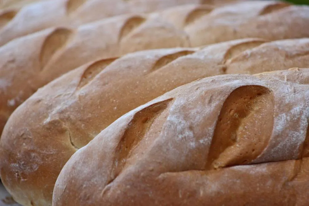 People in Tortugal Boutique River Lodge