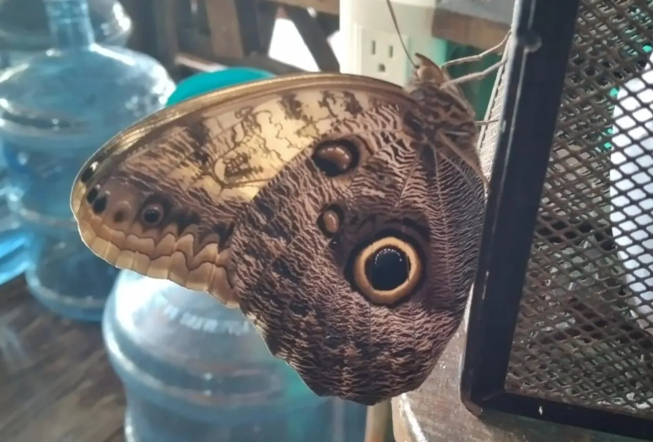 Spring in Tortugal Boutique River Lodge