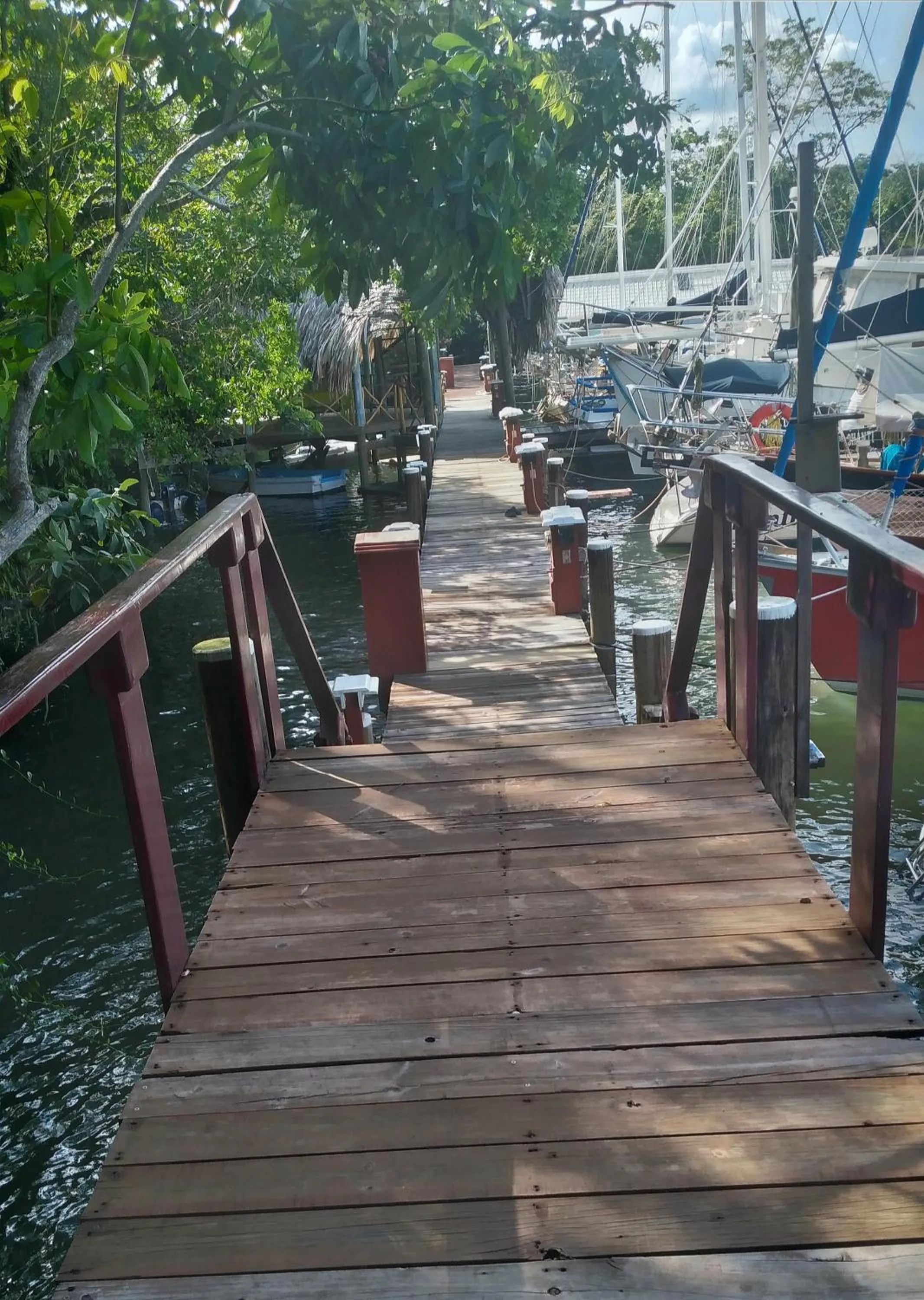 Spring in Tortugal Boutique River Lodge