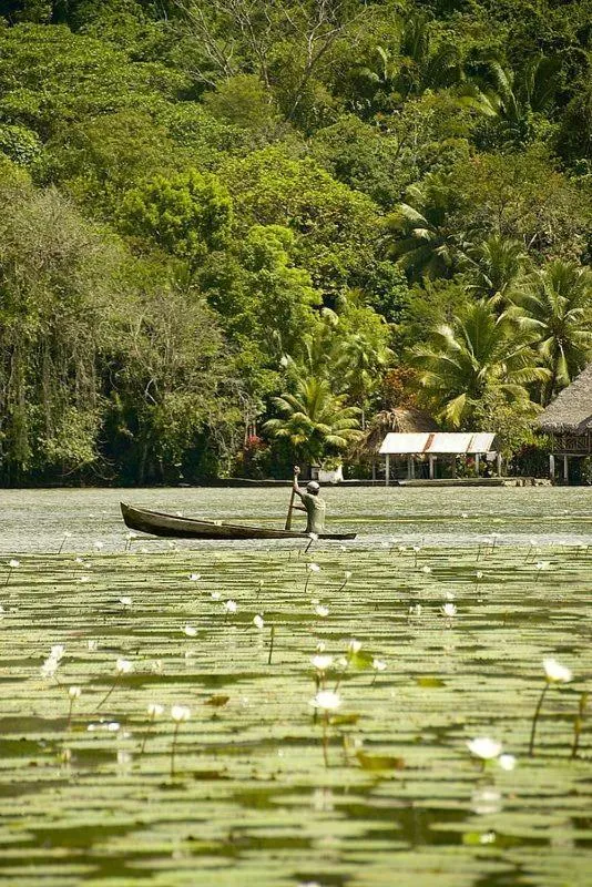Natural landscape in Tortugal Boutique River Lodge