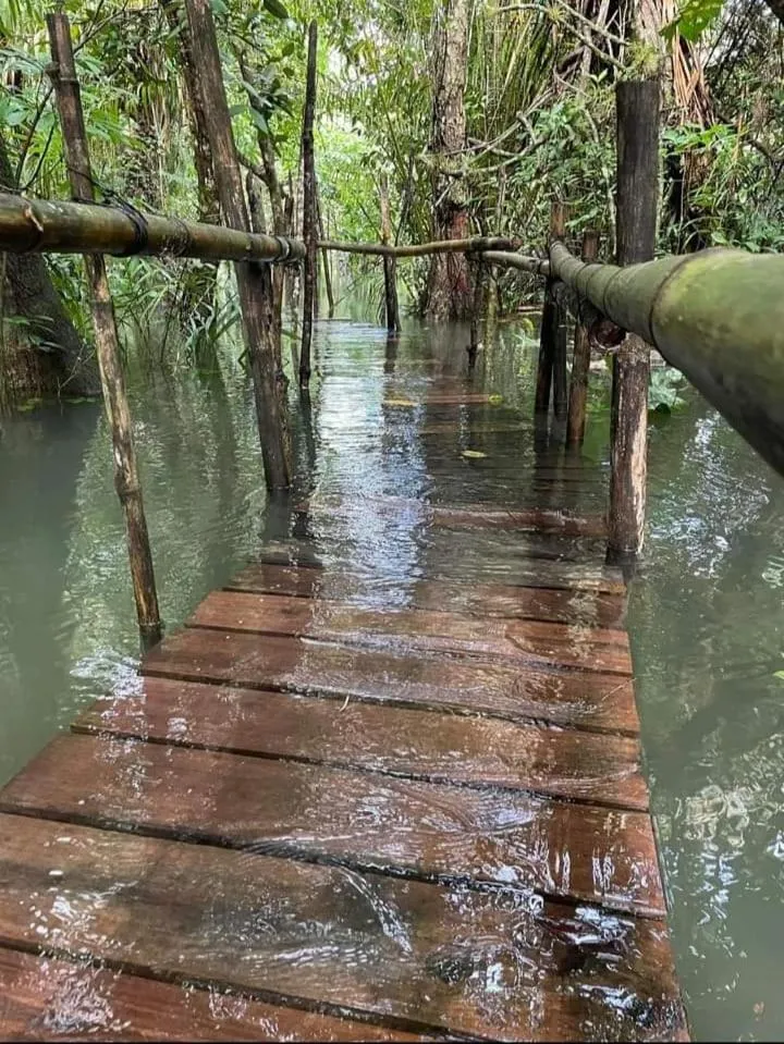 Spring in Tortugal Boutique River Lodge