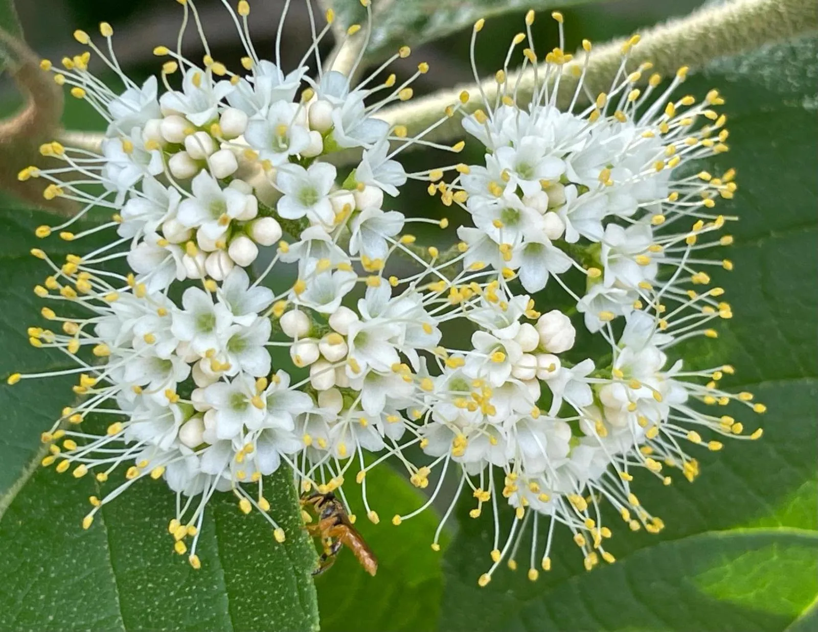 Spring in Tortugal Boutique River Lodge