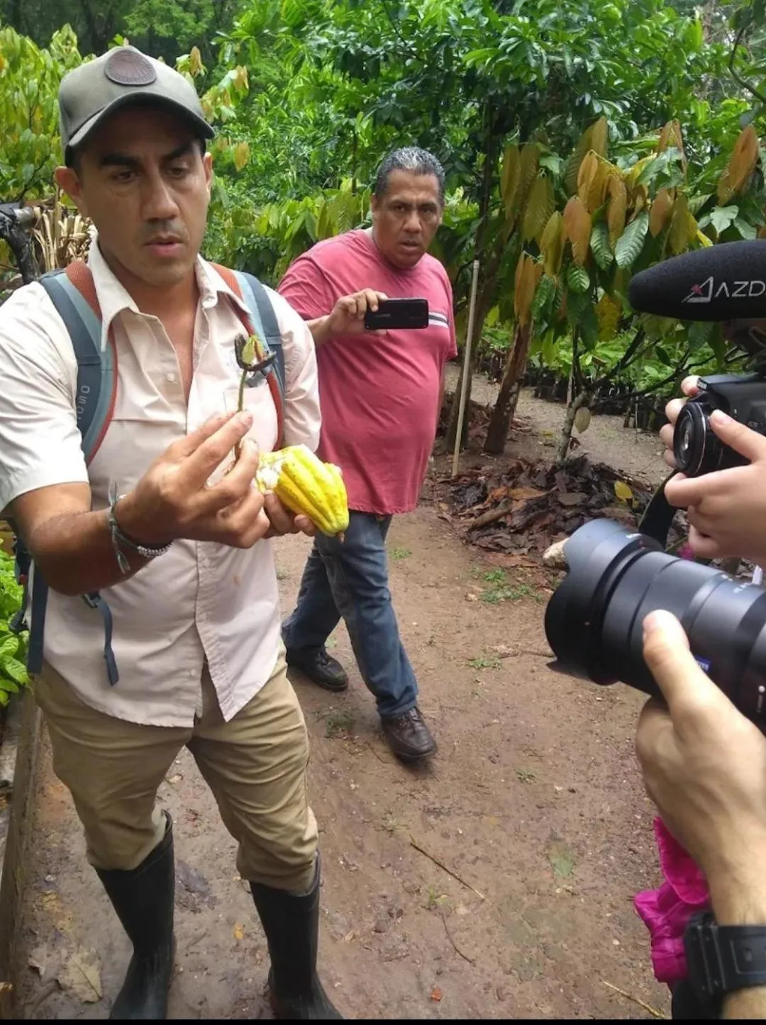Property building in Tortugal Boutique River Lodge