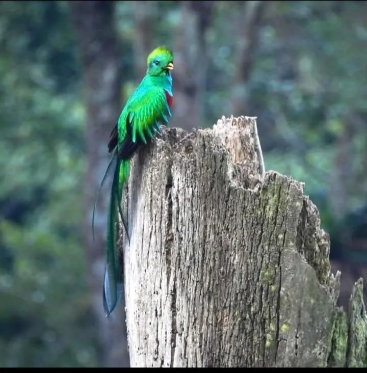 Day in Tortugal Boutique River Lodge