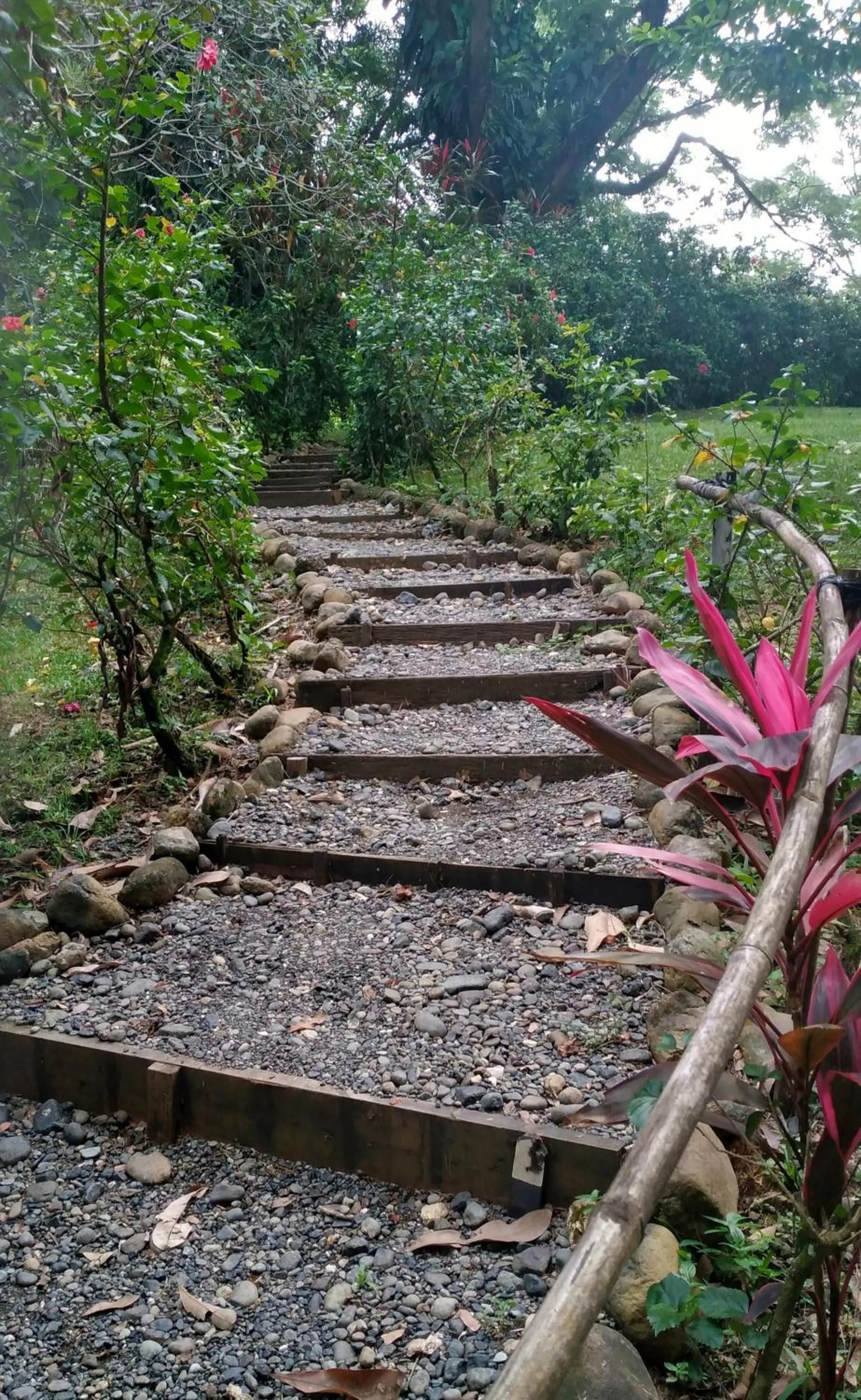 Spring in Tortugal Boutique River Lodge