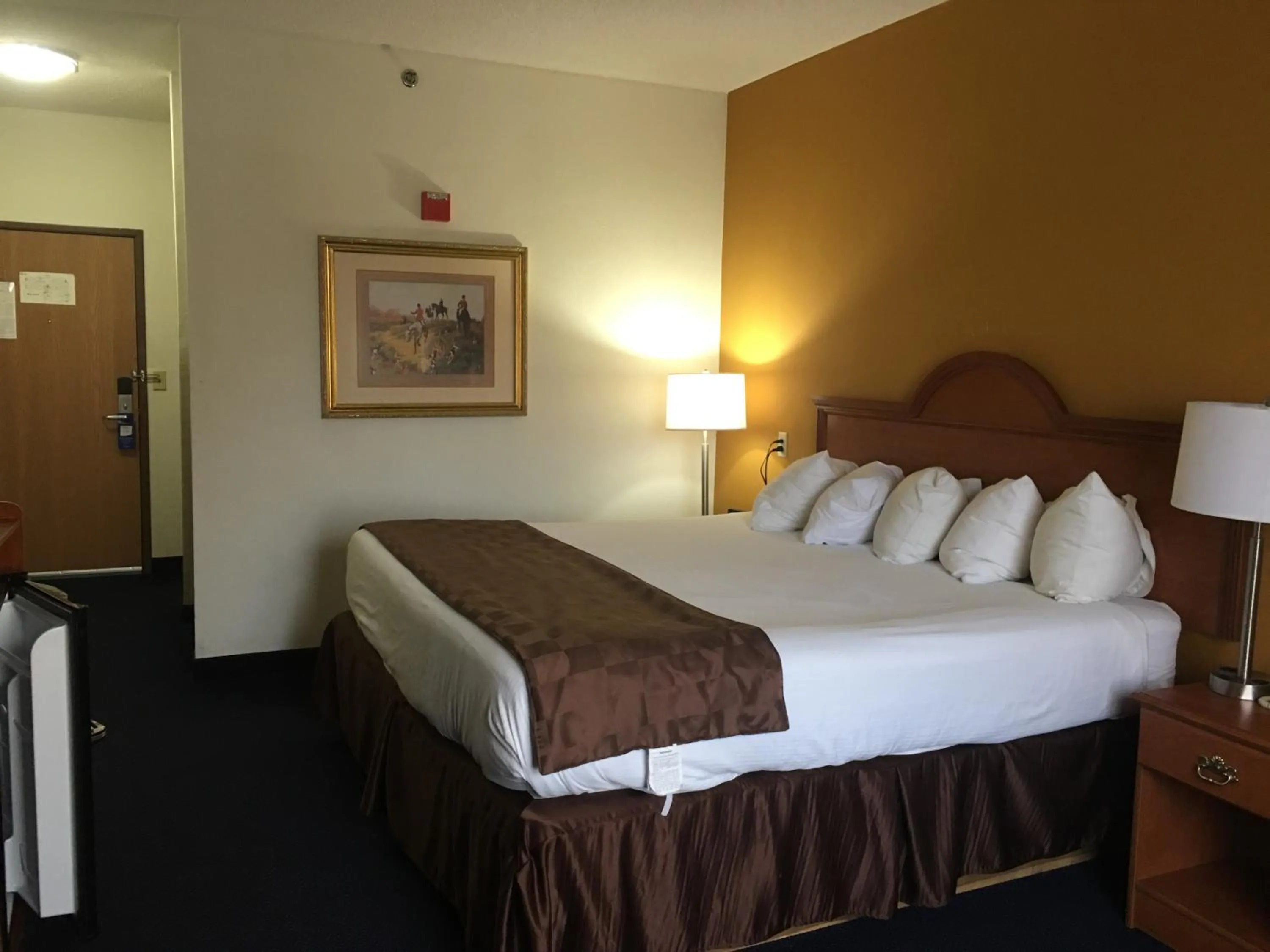 Bed in Baymont by Wyndham Albany