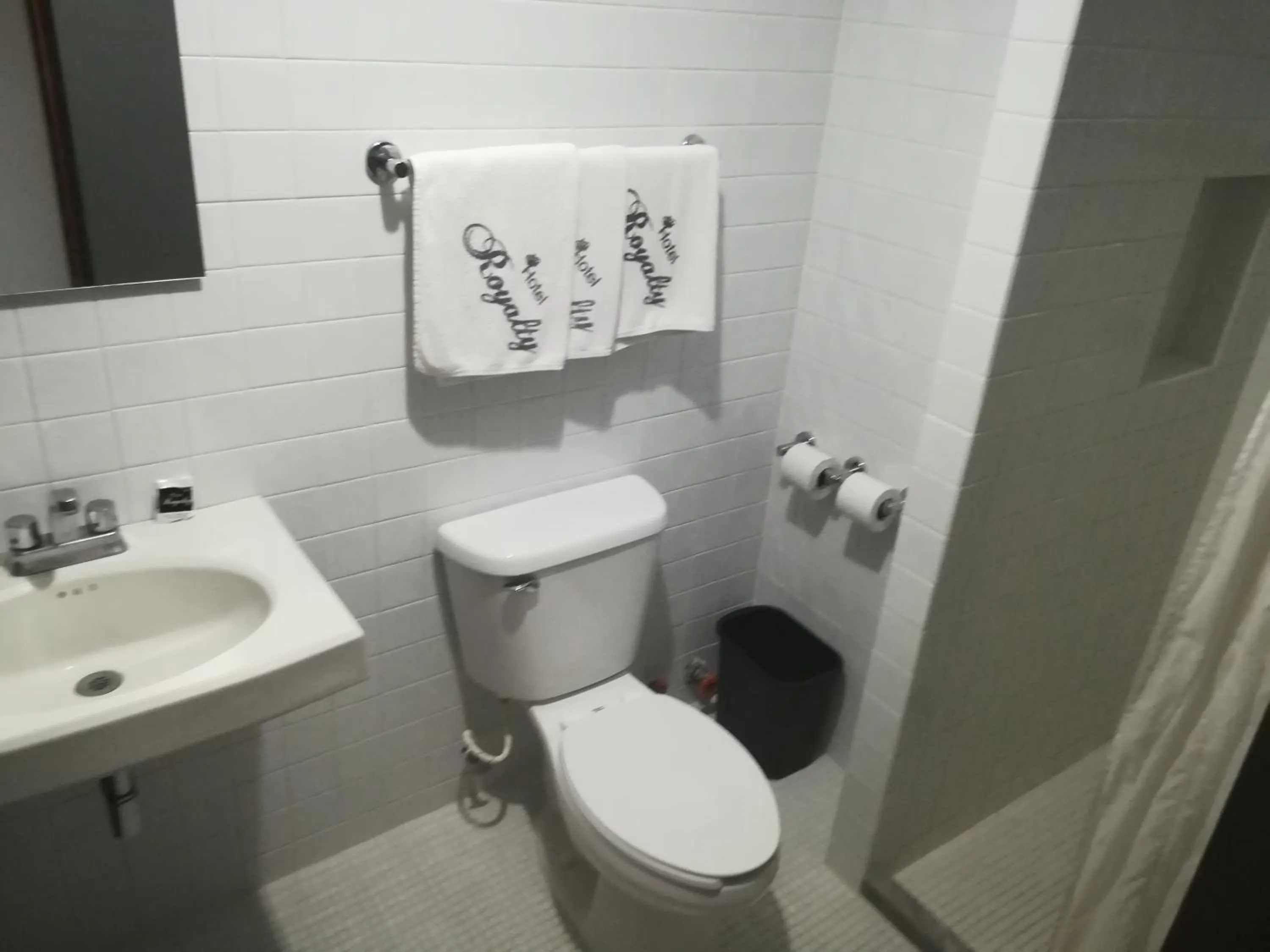 Bathroom in Hotel Royalty