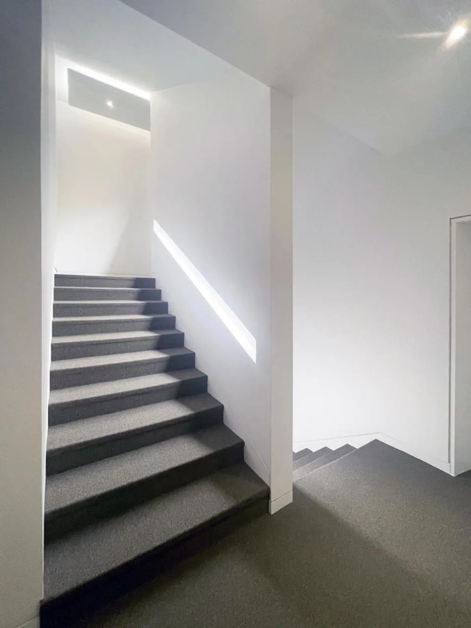 Area and facilities in Bluefrog Hotel