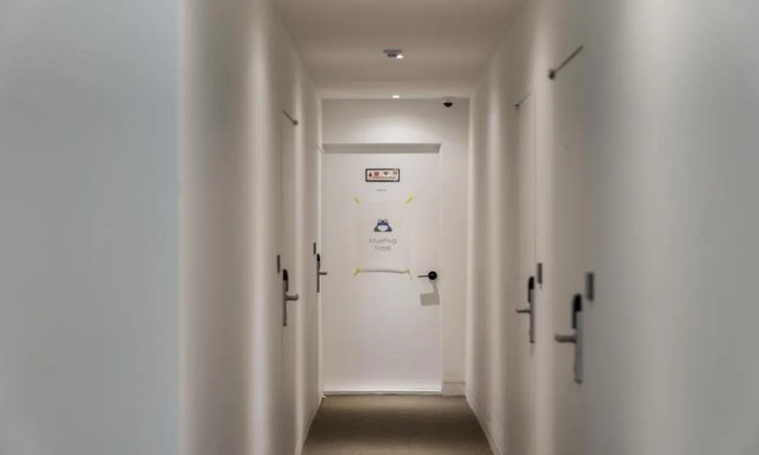 Area and facilities in Bluefrog Hotel