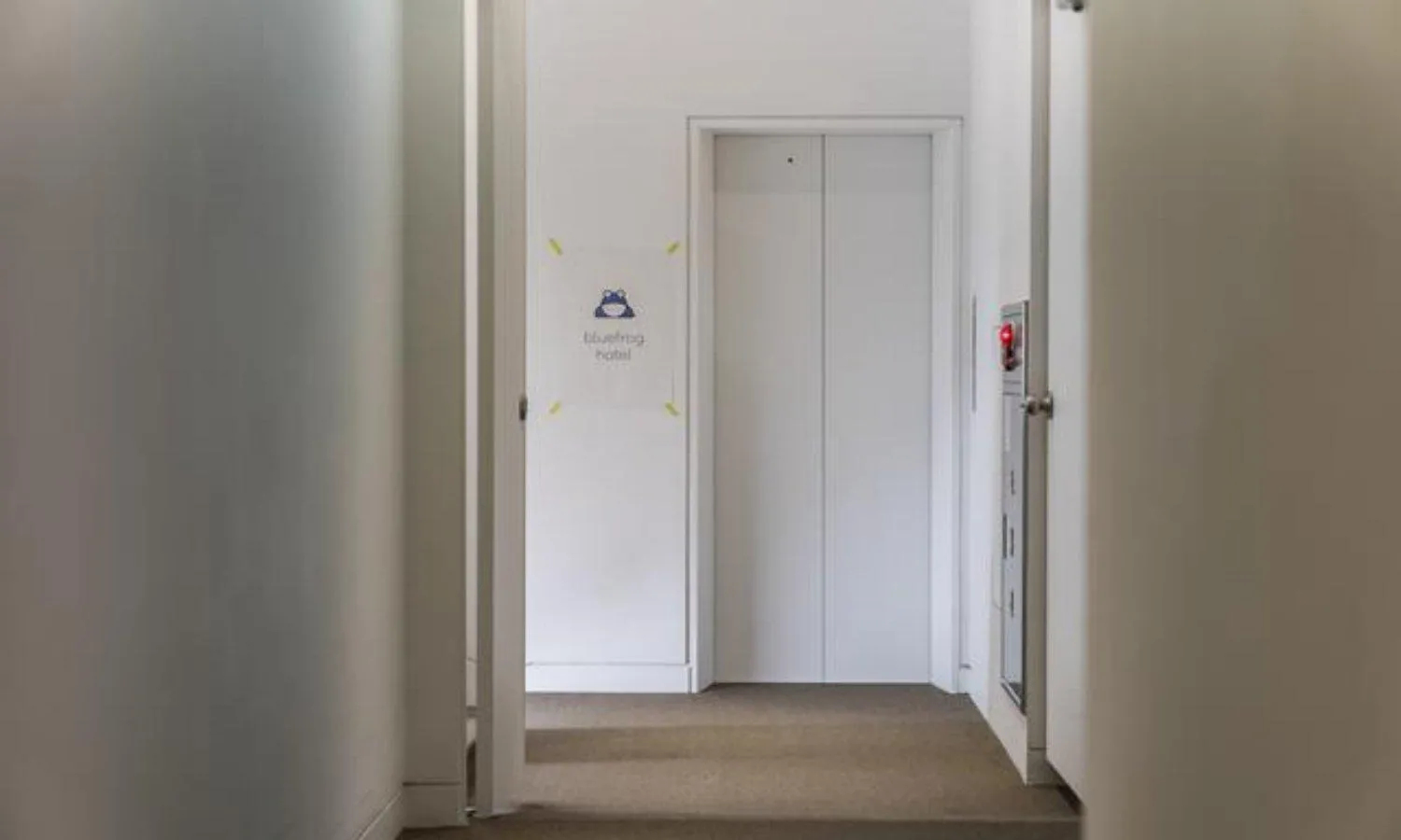 Area and facilities in Bluefrog Hotel