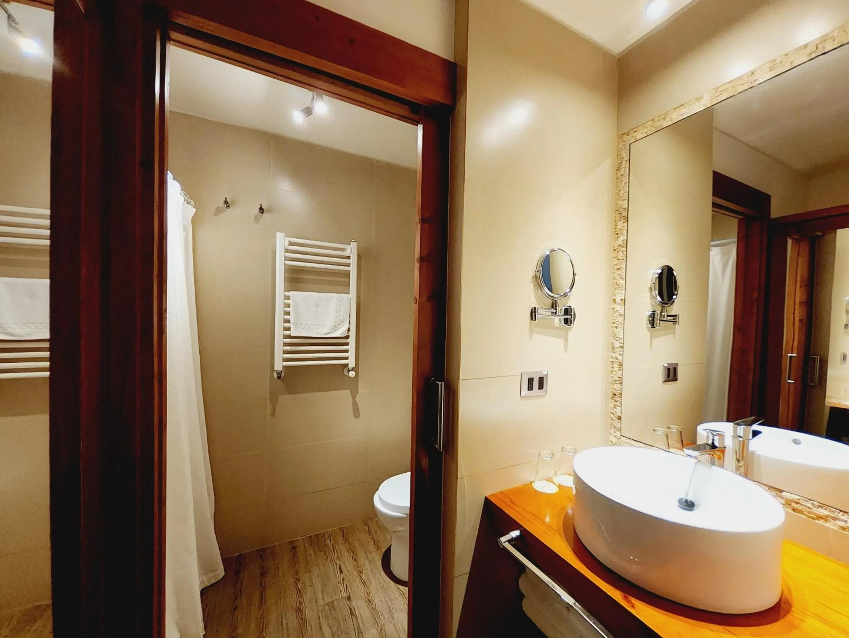 Bathroom in Martina de Goñi