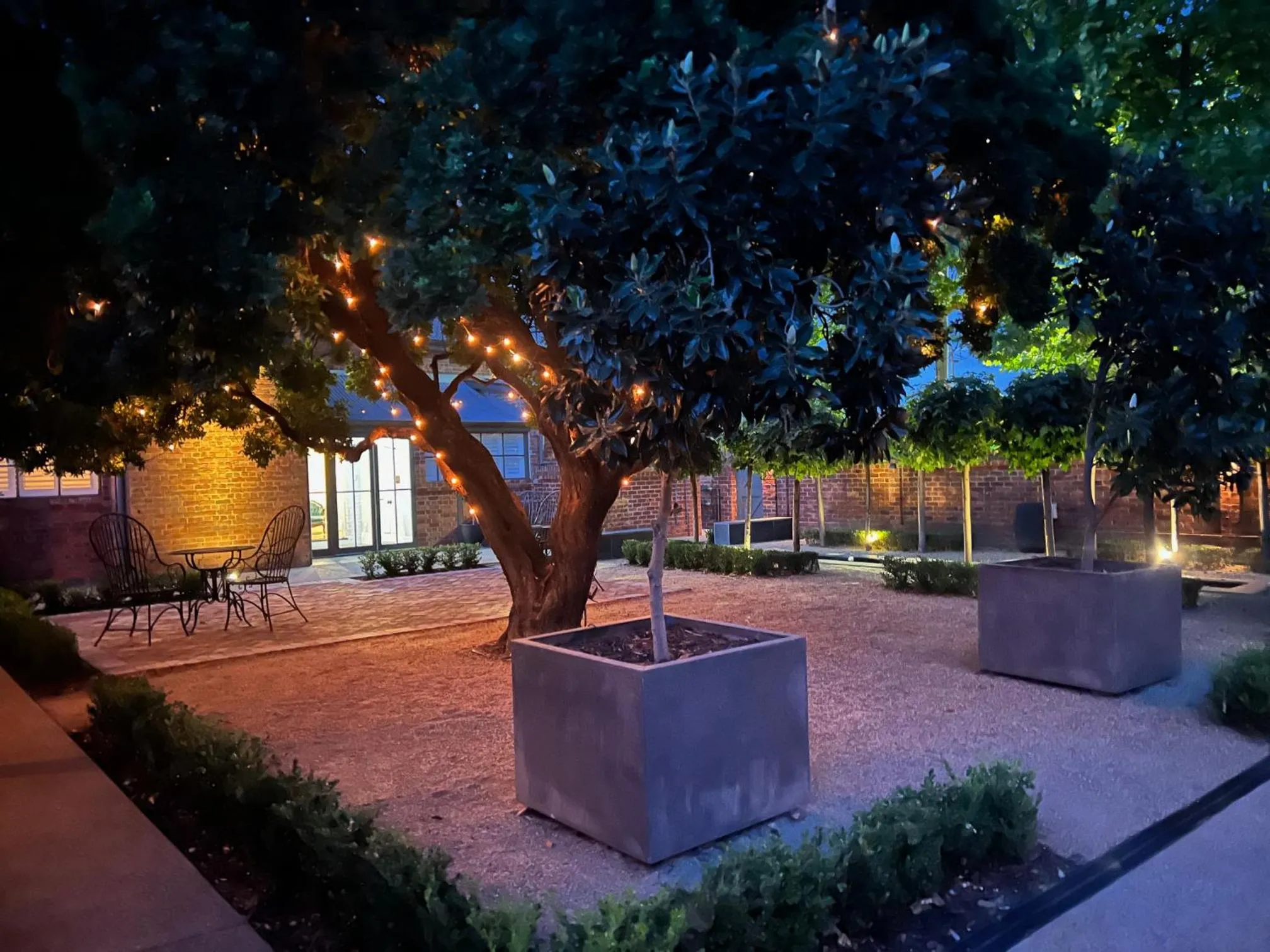 Garden in The Houston Wagga