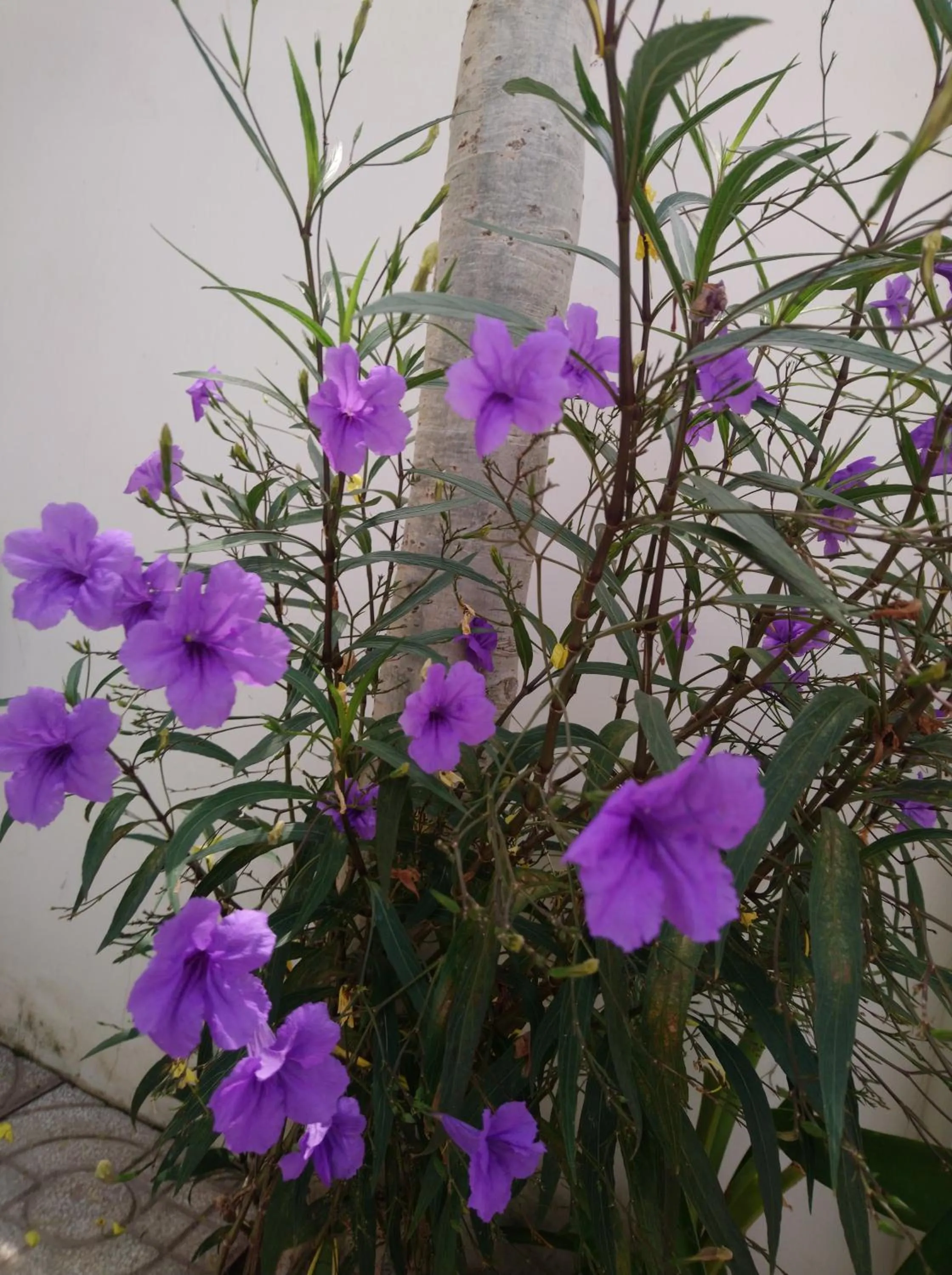 Neighbourhood in Hung Phuc Mui Ne Hotel