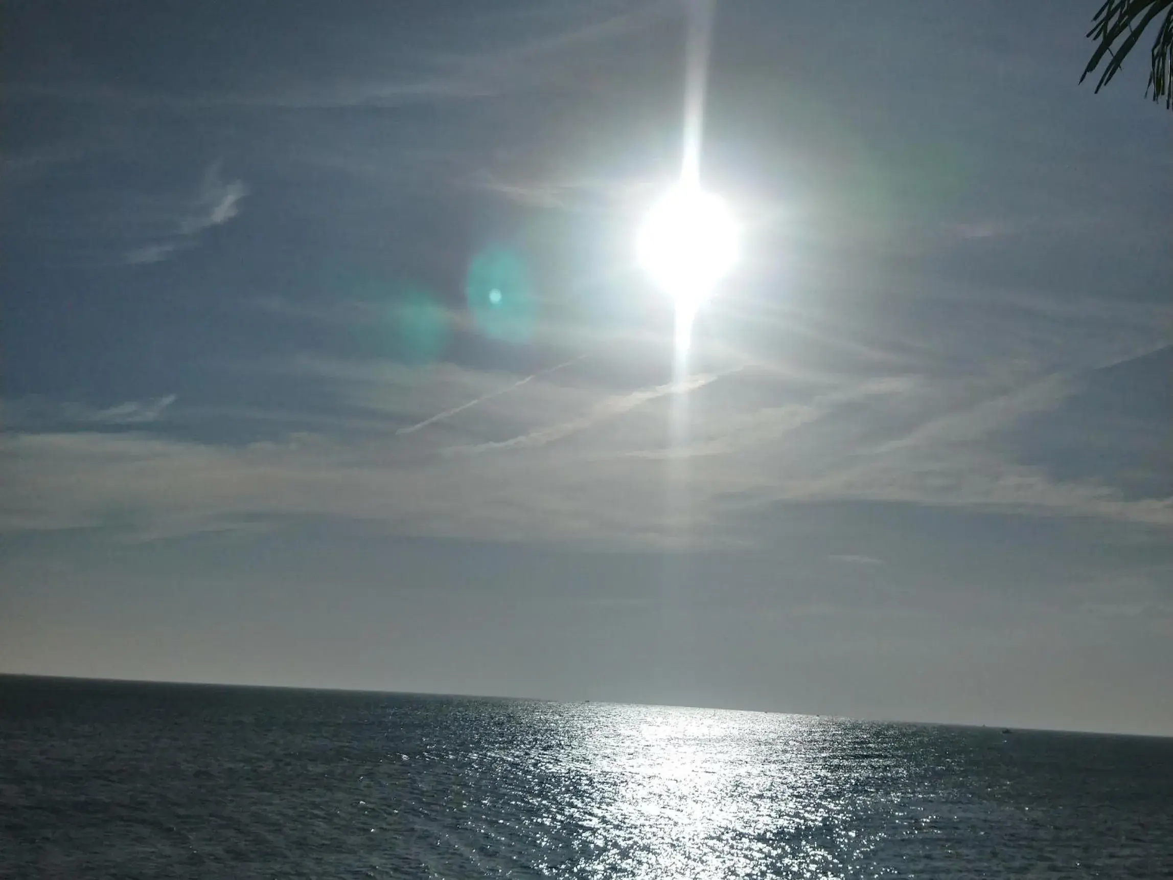 Natural landscape in Hung Phuc Mui Ne Hotel Natural landscape in Hung Phuc Mui Ne Hotel