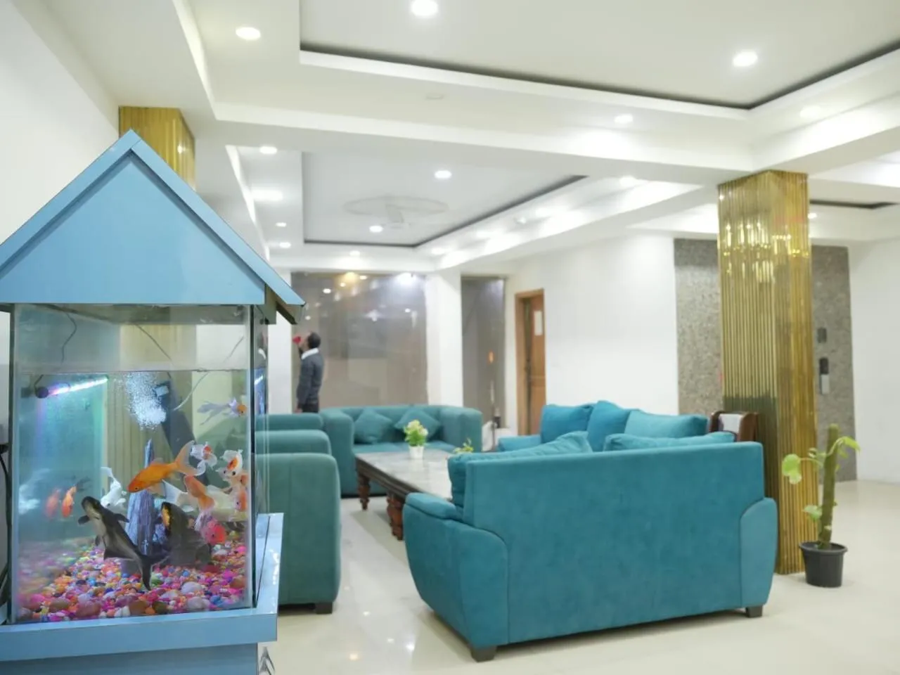 Hotel Modesty#Delhi Near By IGI Airport