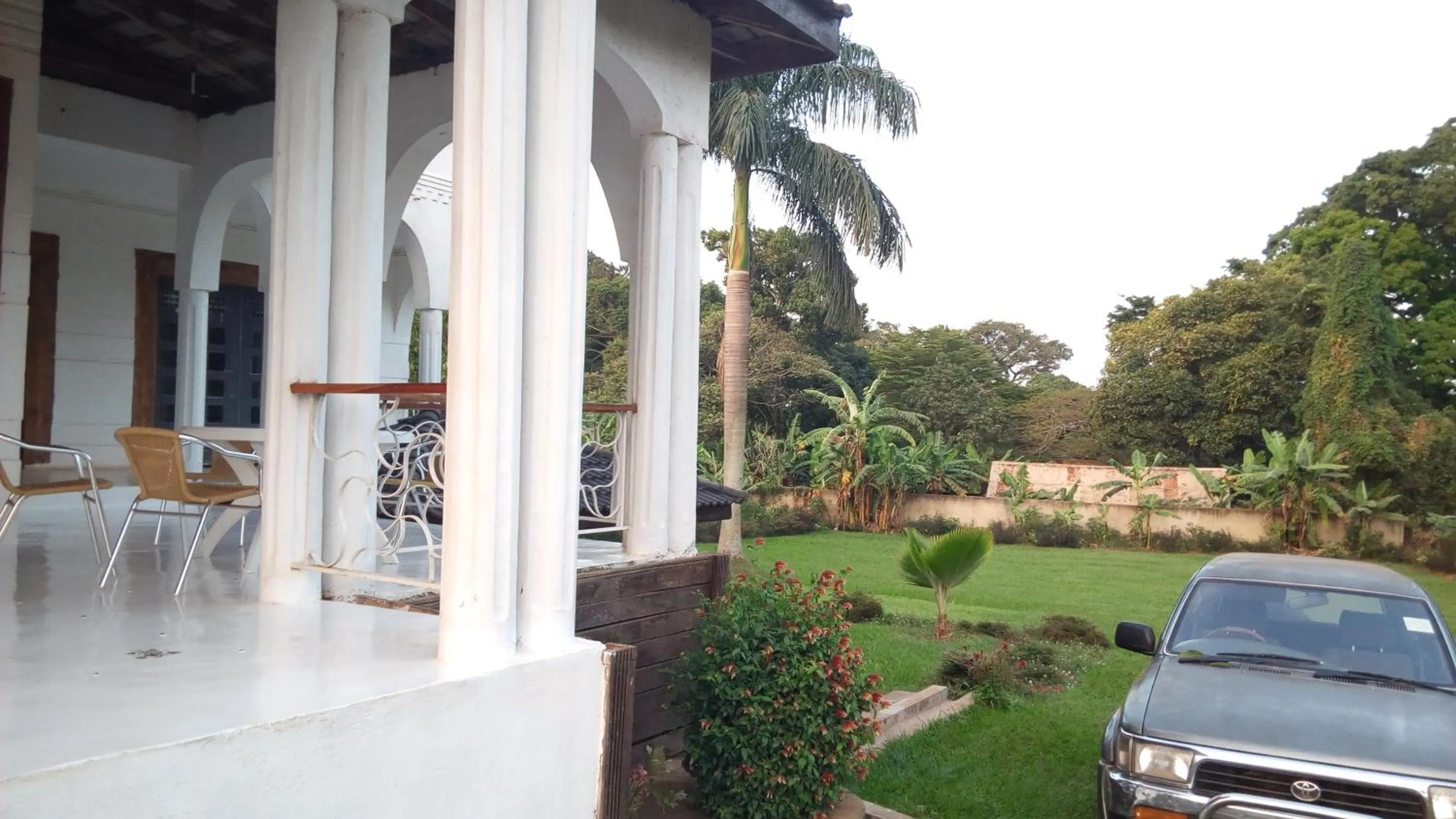 Garden in Egg Botanical View