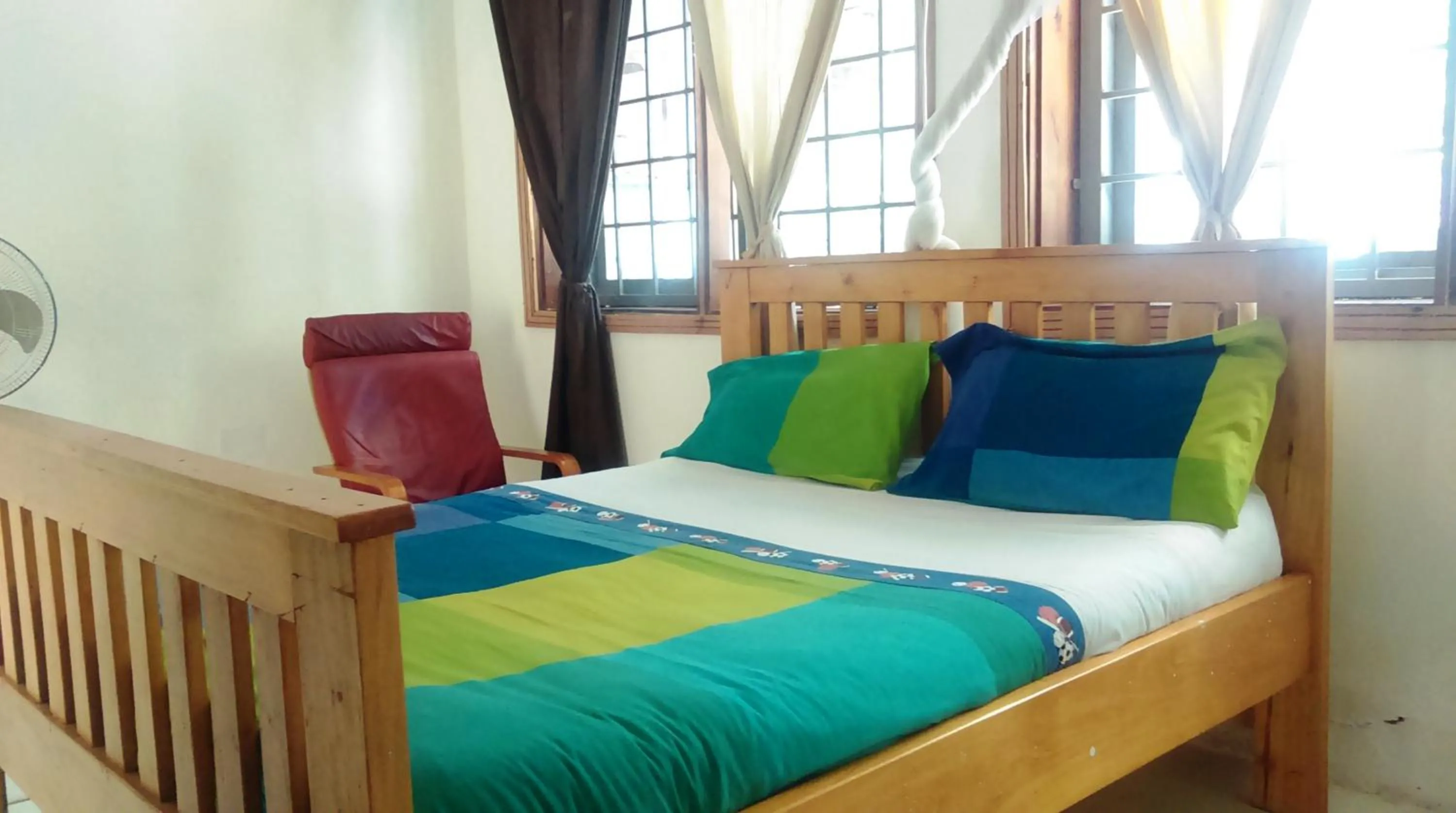 Other, Bed in Egg Botanical View