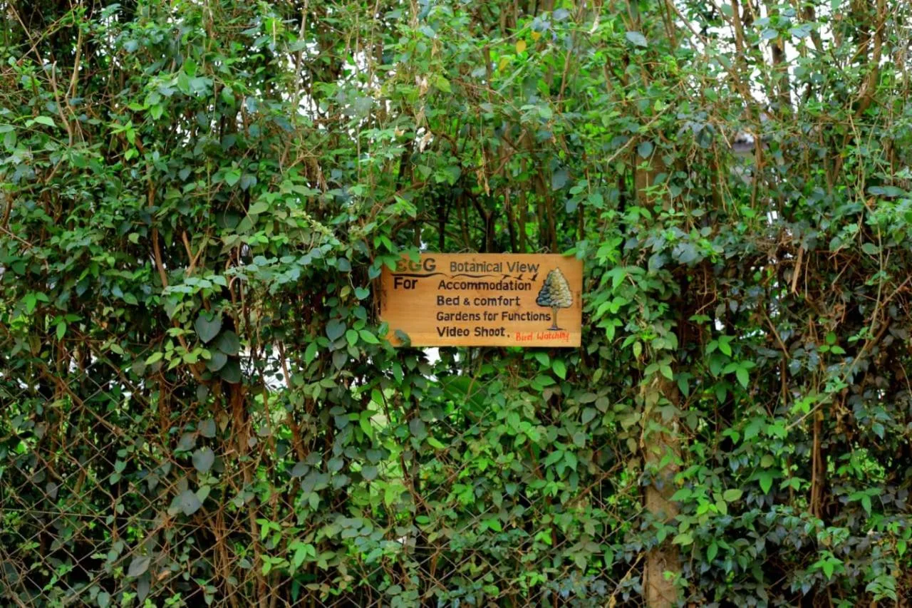Egg Botanical View