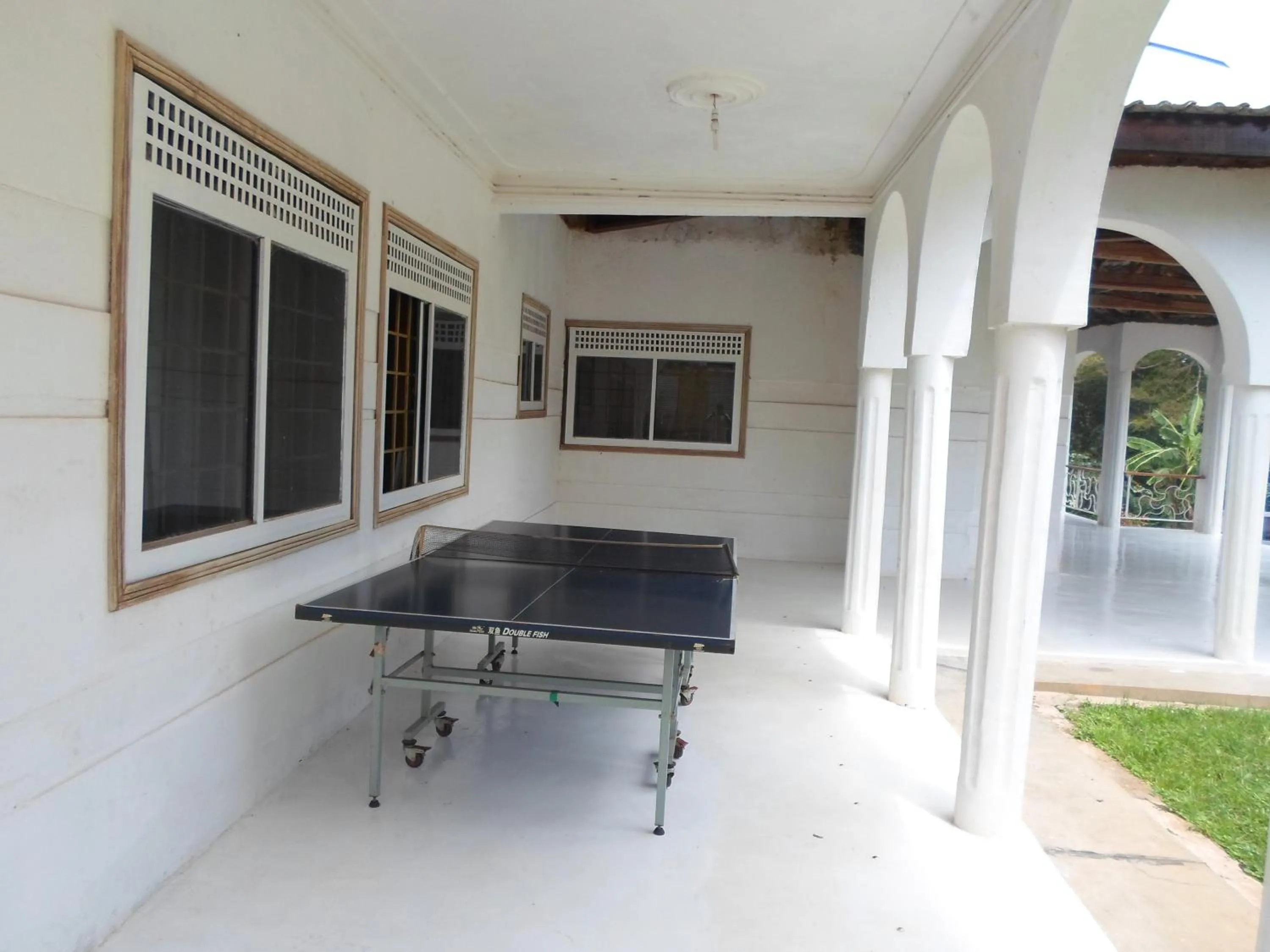 Table tennis in Egg Botanical View