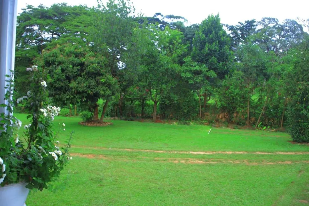 Egg Botanical View