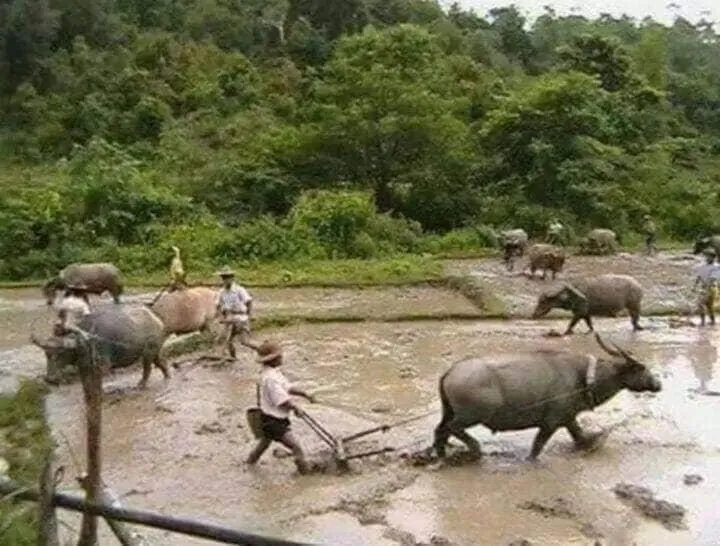 Nearby landmark in Mitkhoonyoum Hotel