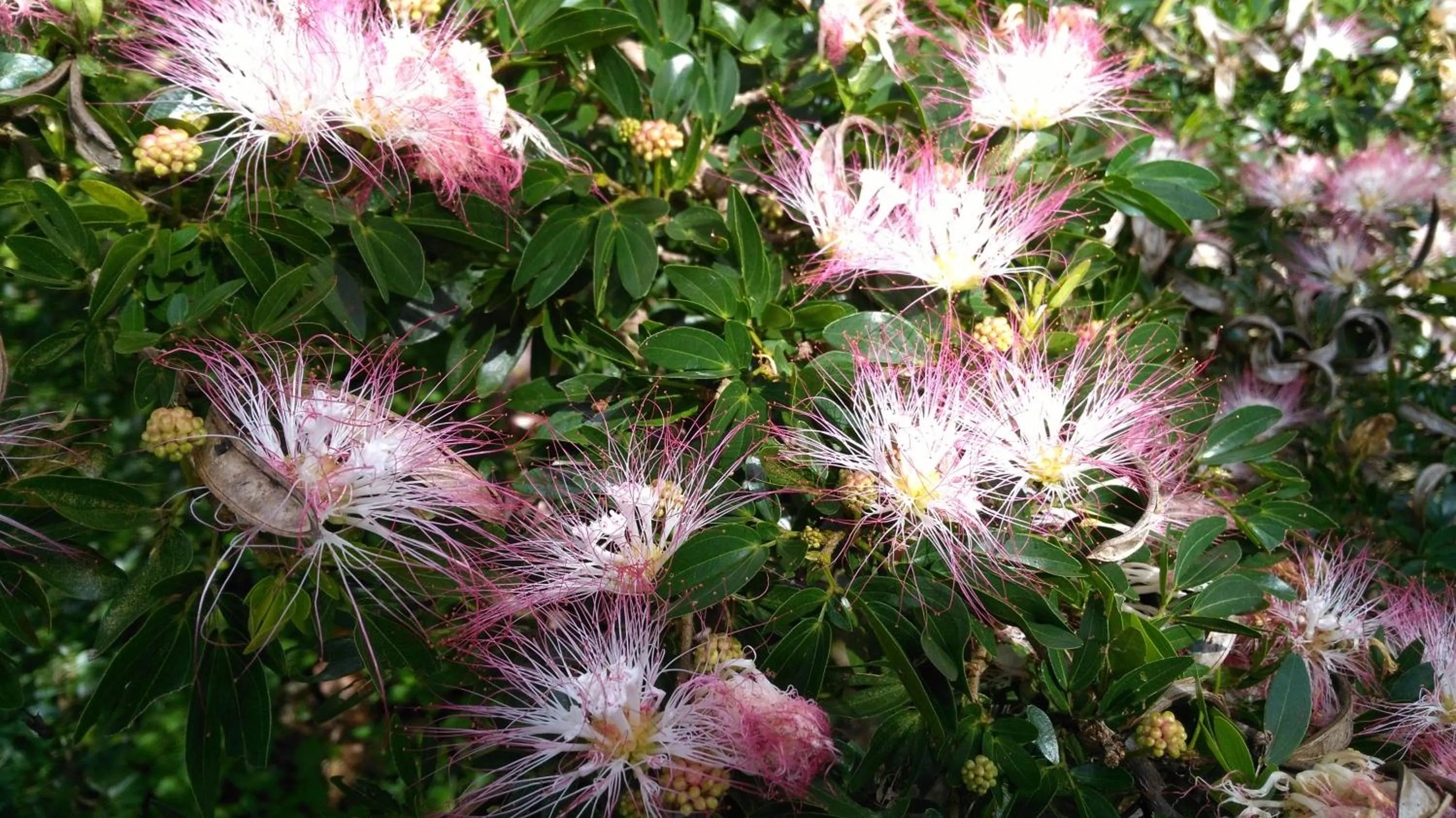 Winter in Mitkhoonyoum Hotel