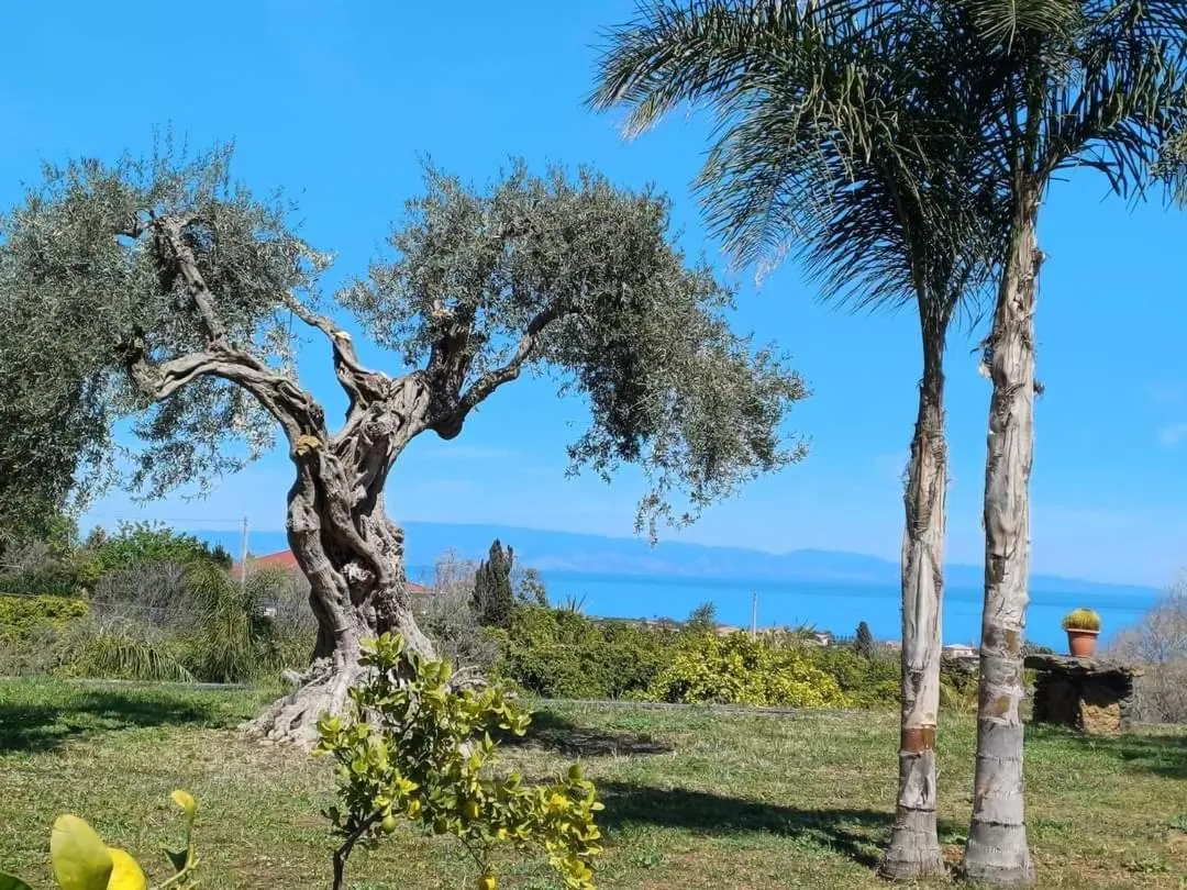 Profumo di Zagara Acireale