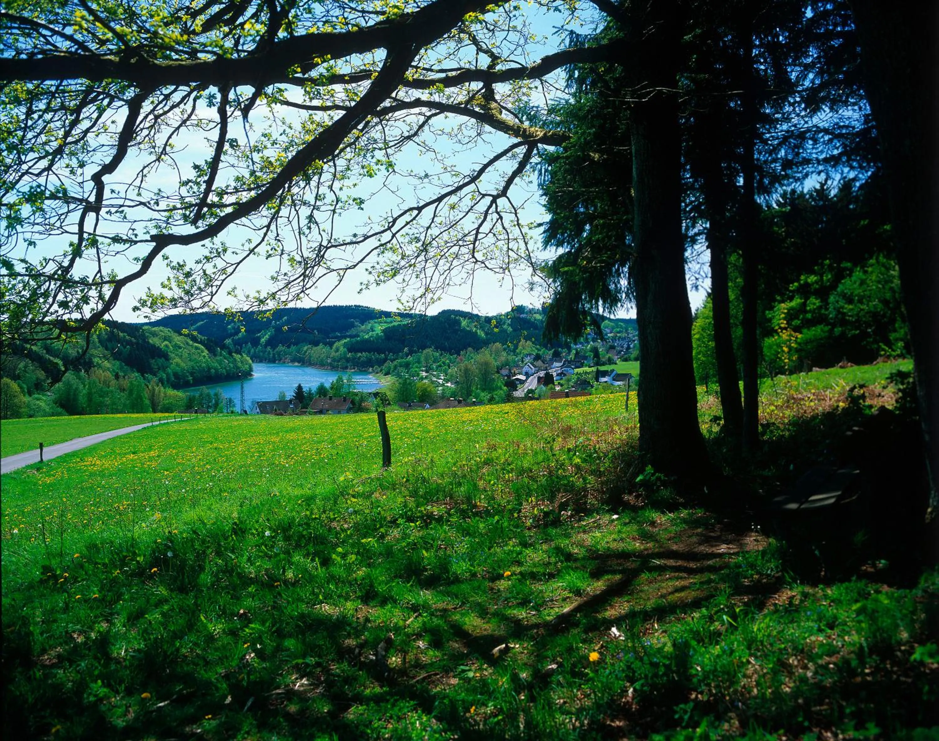 View (from property/room) in Seminar- & Tagungshotel Große Ledder