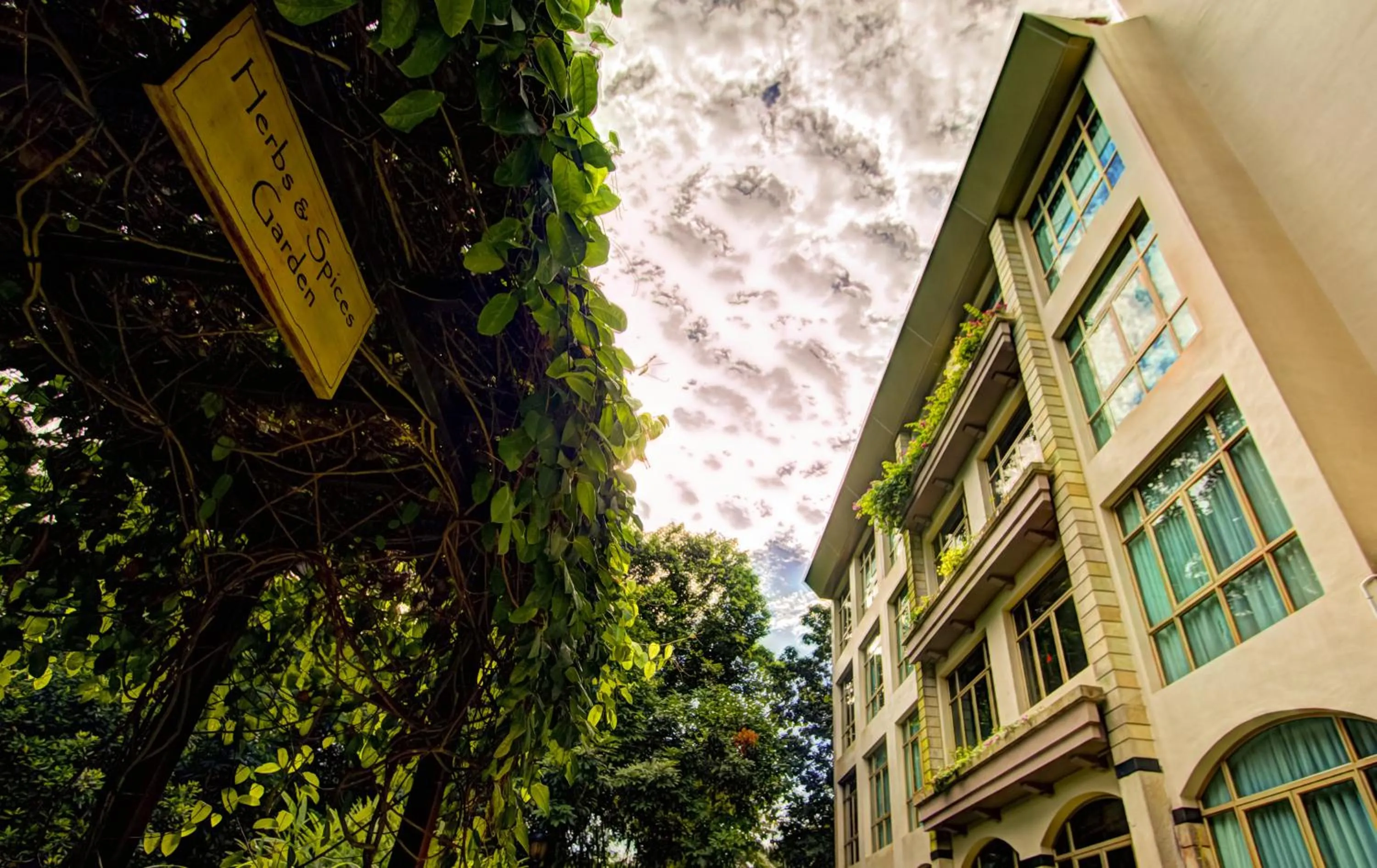 Area and facilities in Treetops Executive Residences