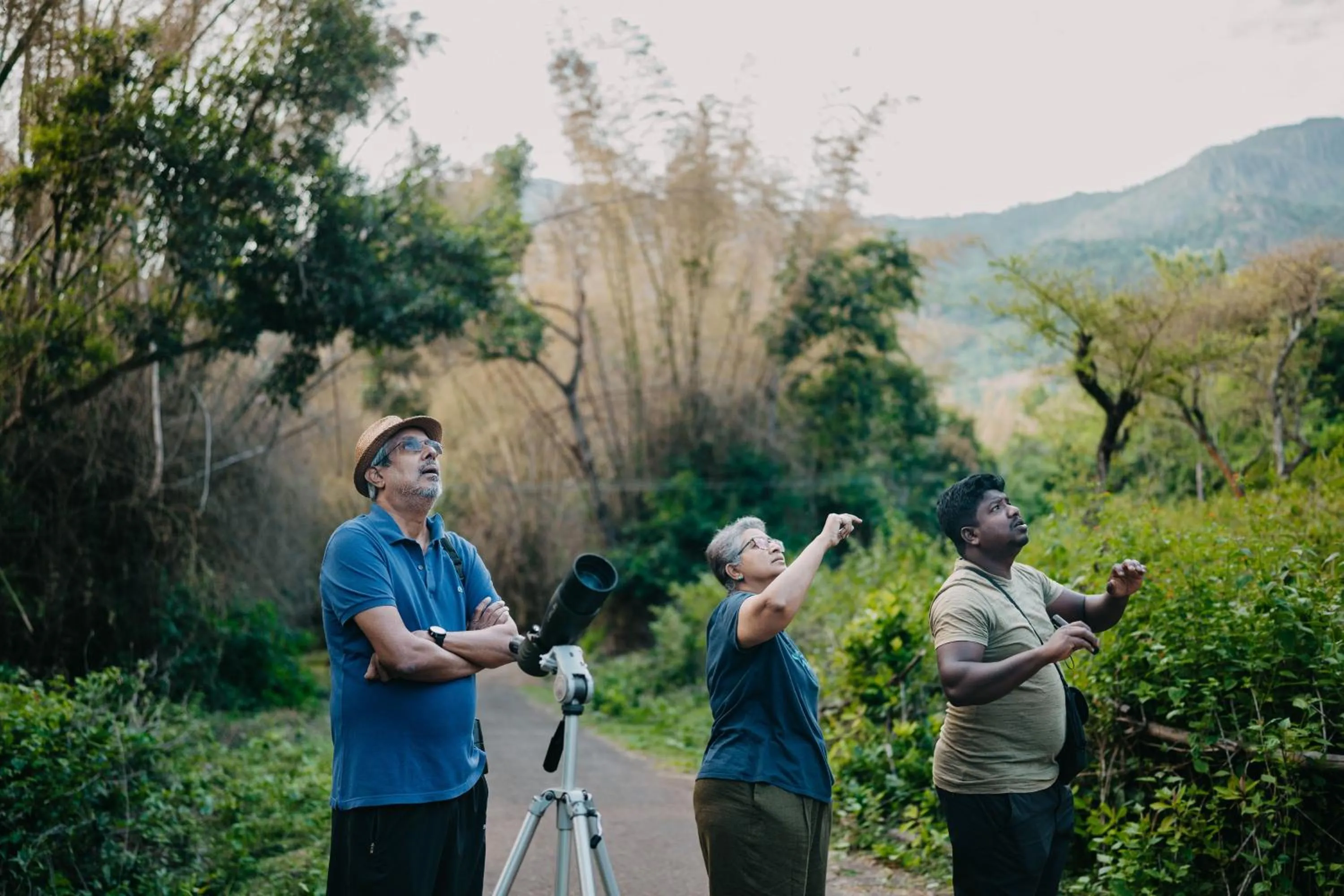 Natural landscape in Jungle Hut Resort