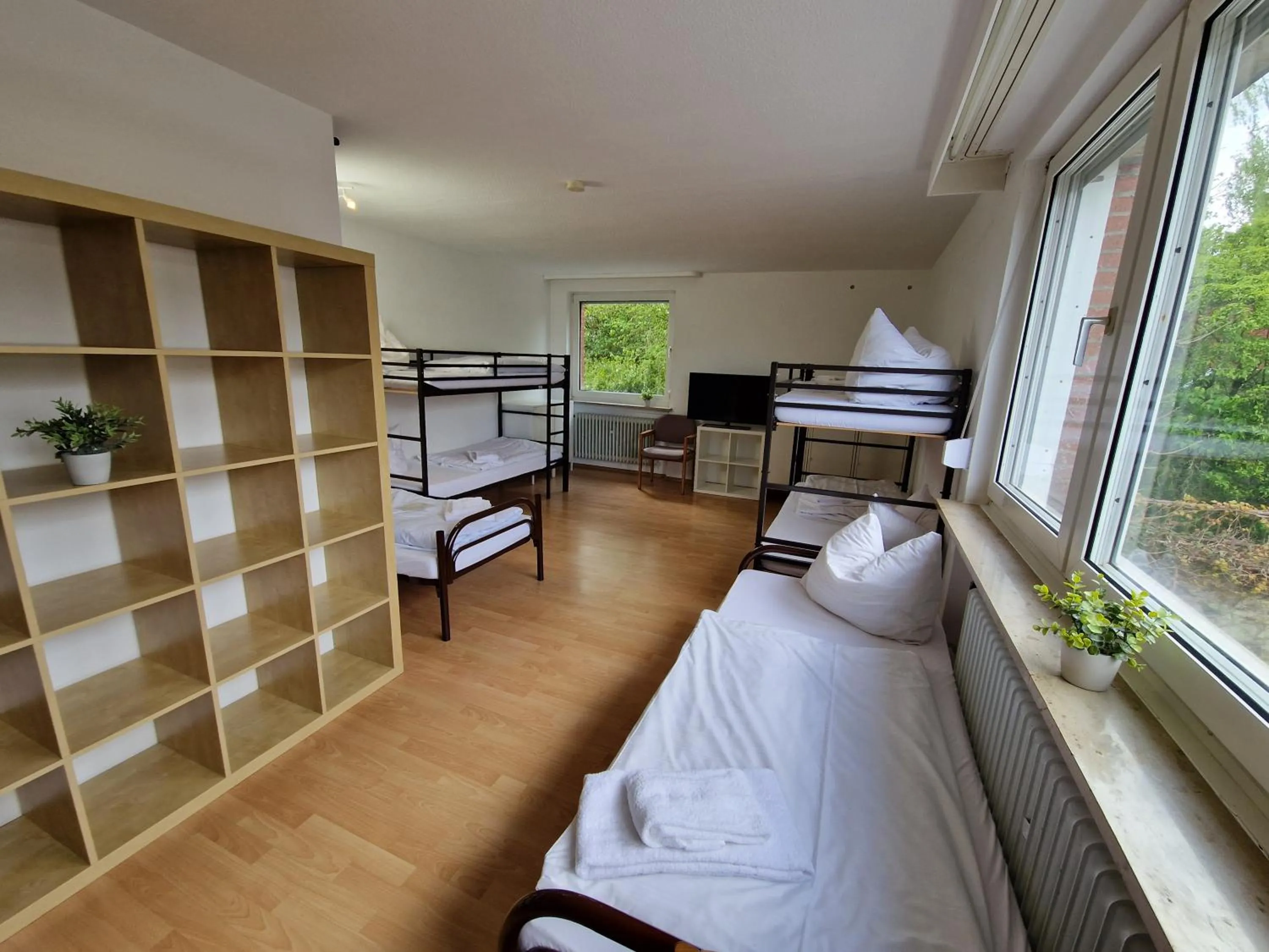 Photo of the whole room, Bed in Adventure Campus