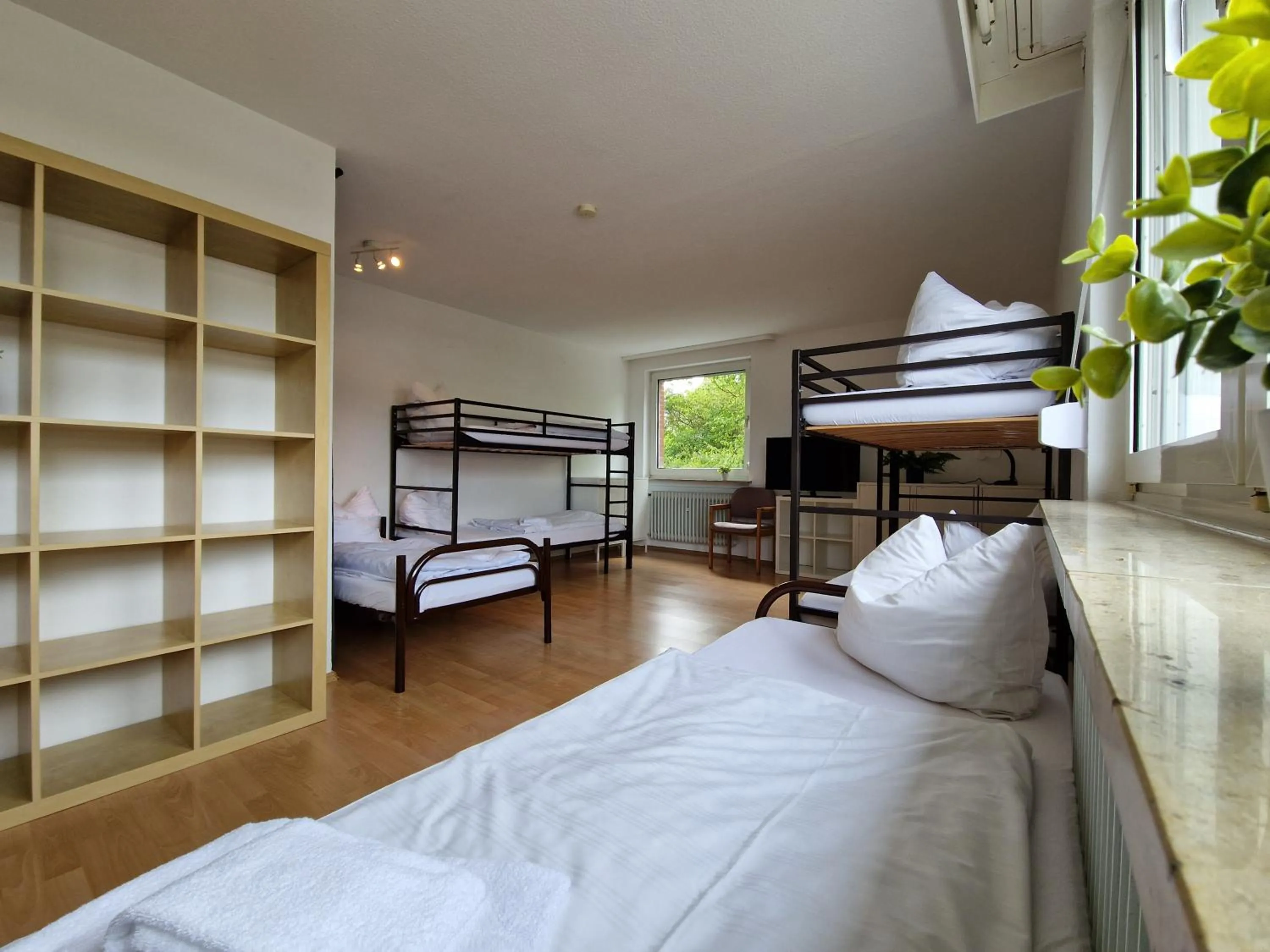 Bed in Adventure Campus