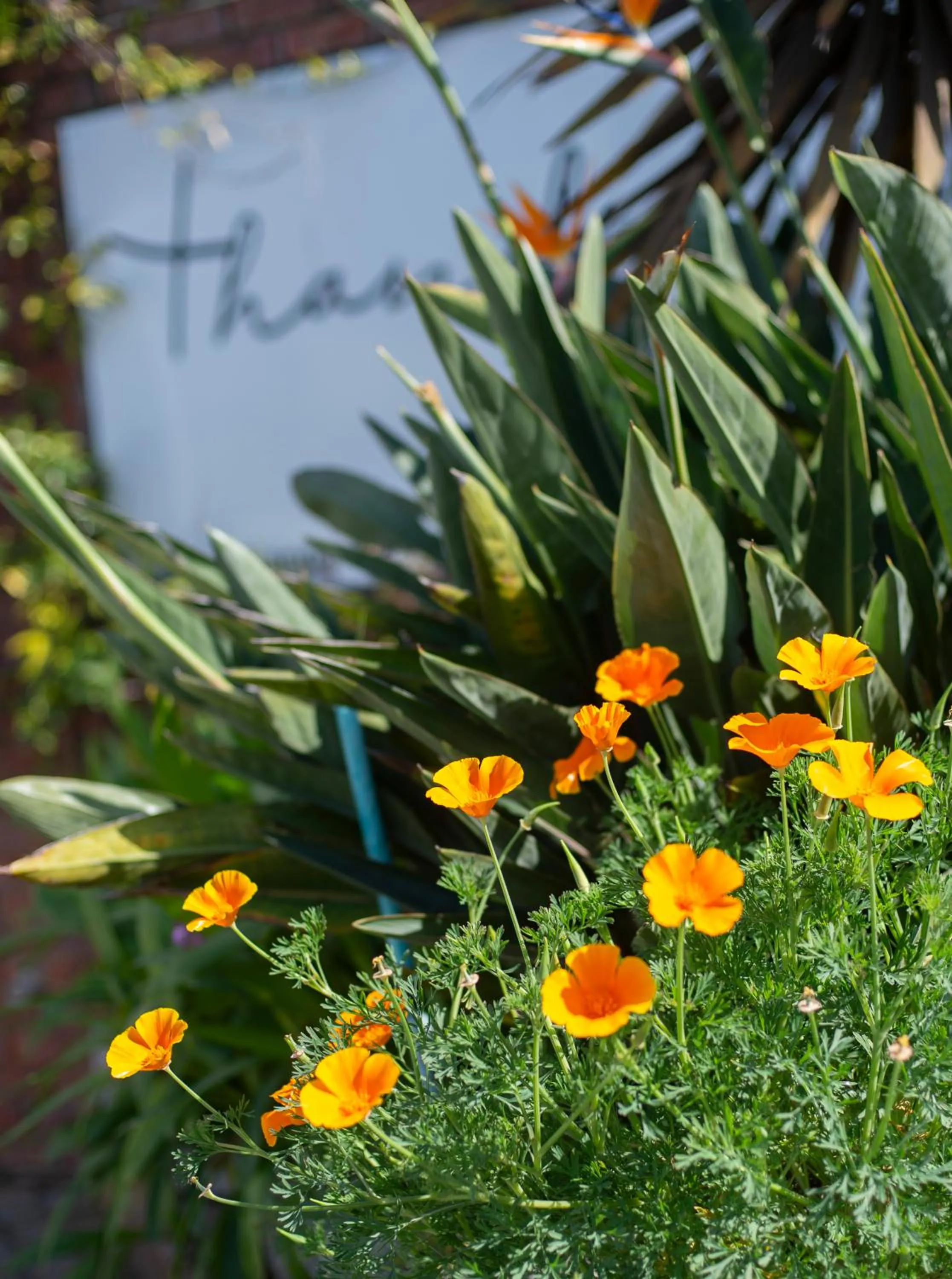 Property building in Thanda Vista