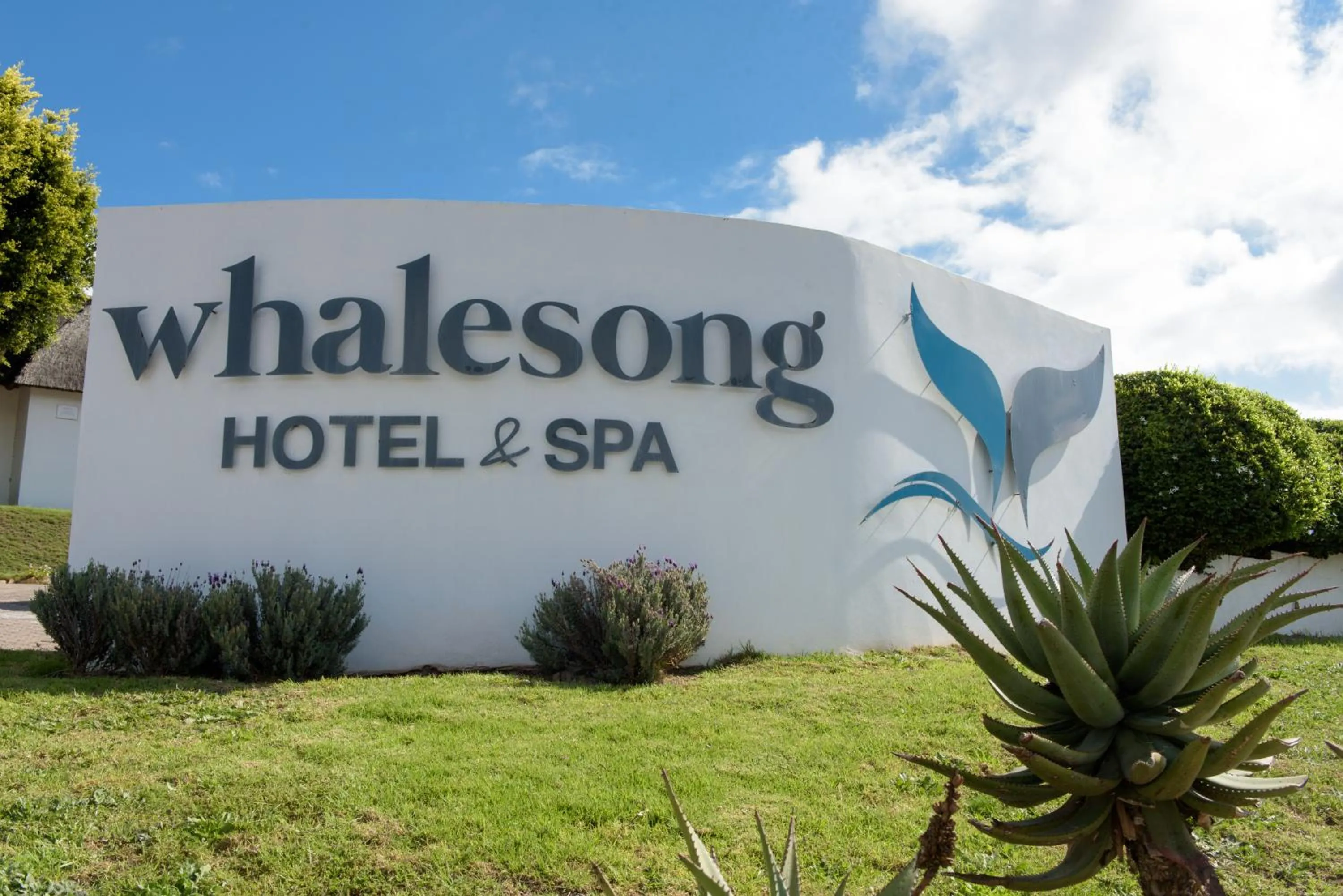 Facade/entrance in Whalesong Hotel & Spa