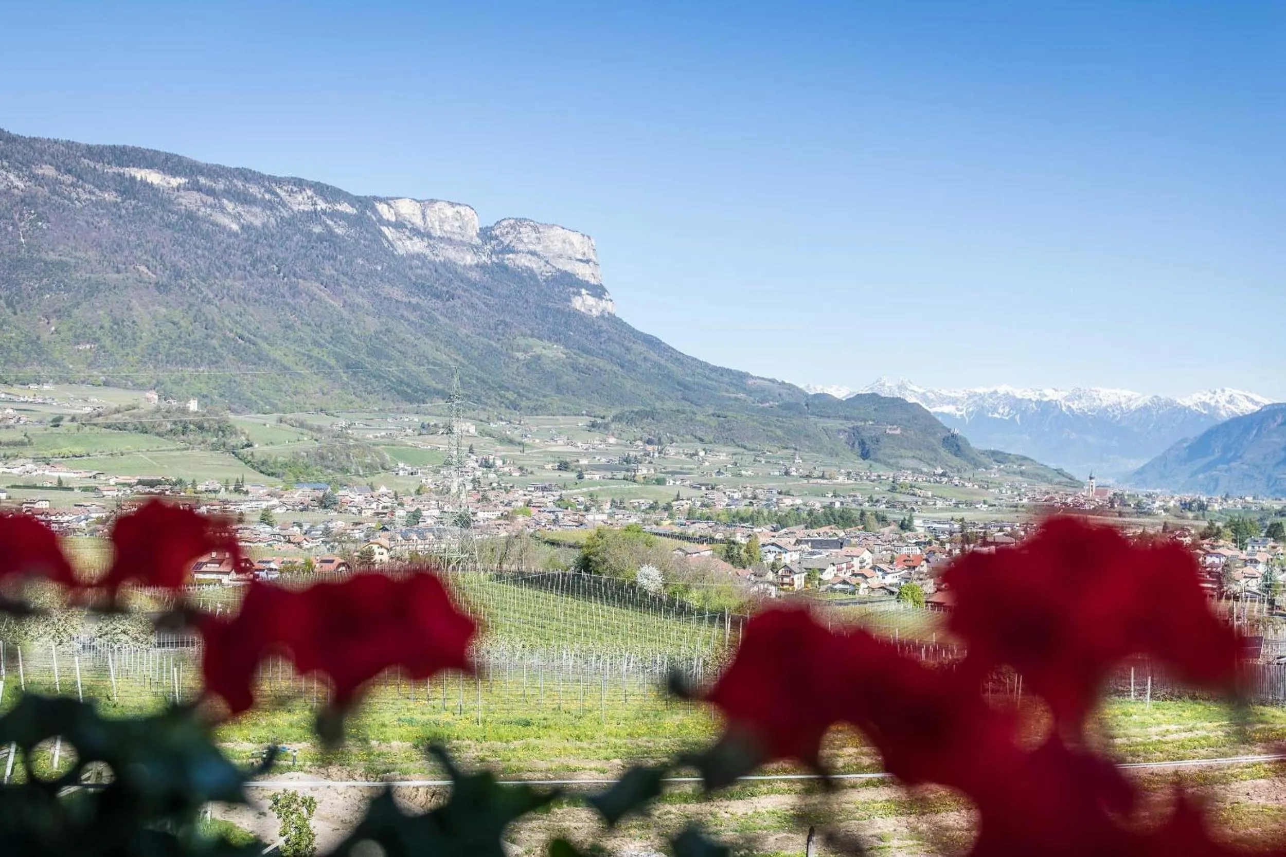 Natural landscape in Appartements Weisshauserhof