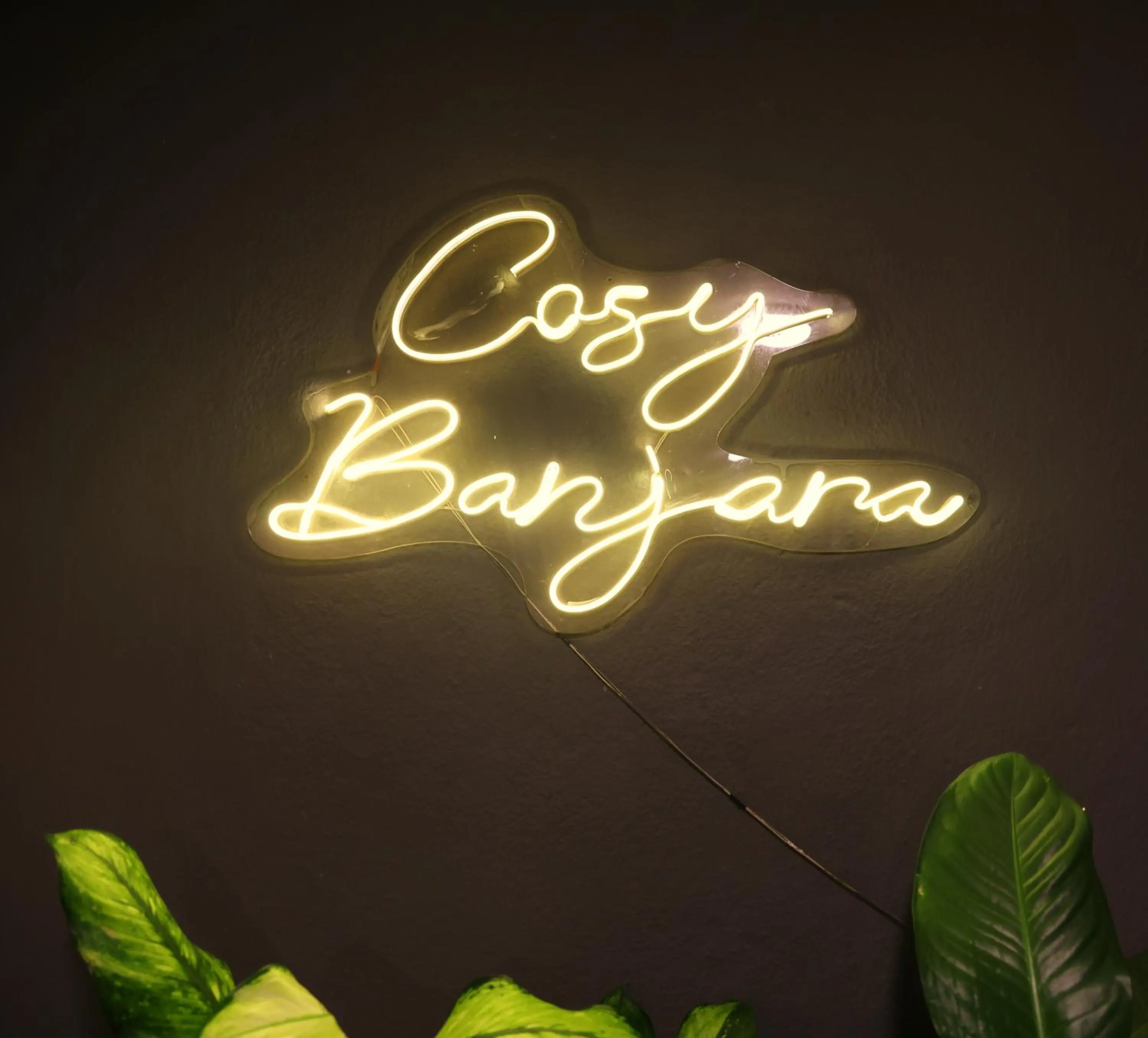 Cosy Banjara Guest House