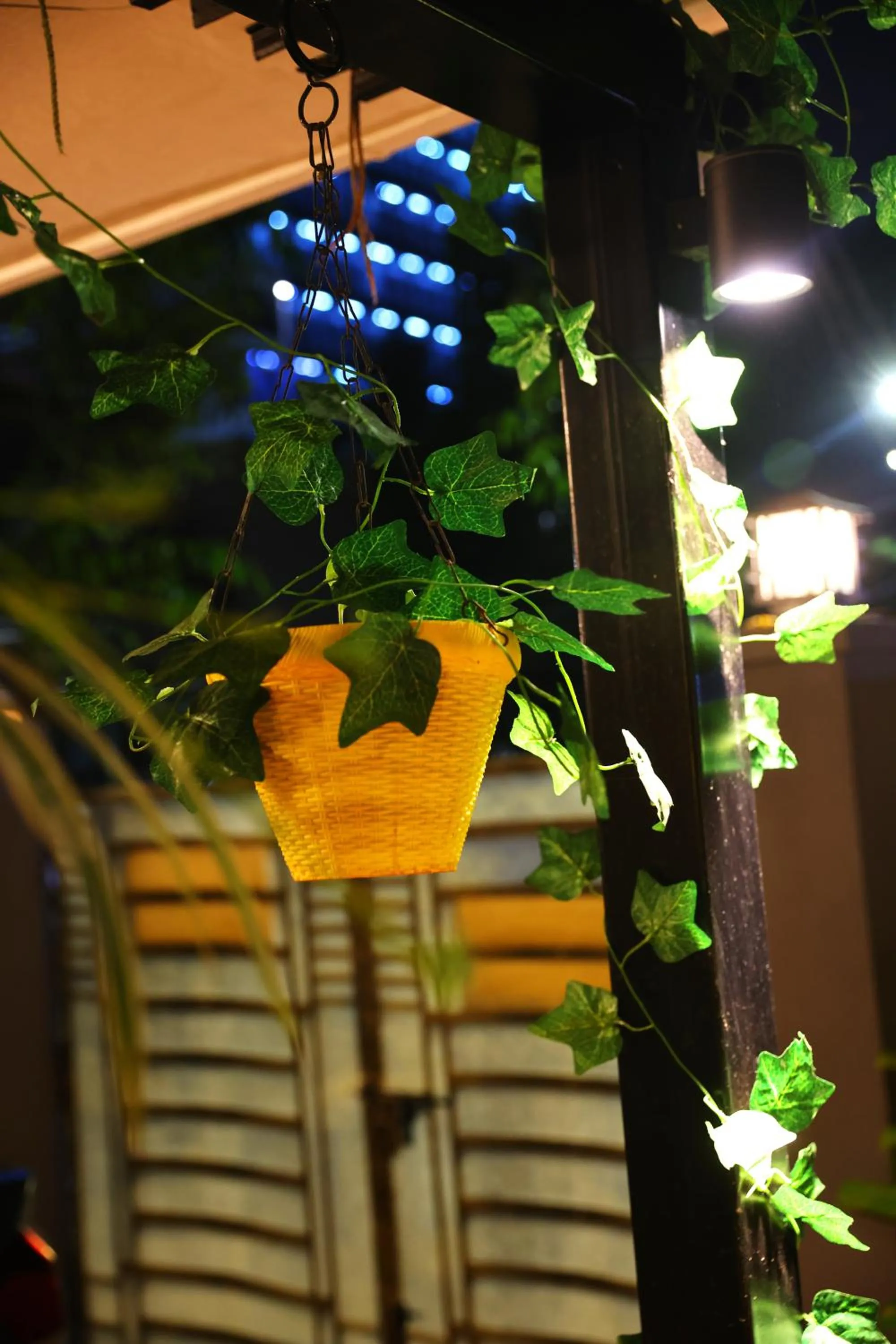 Cosy Banjara Guest House