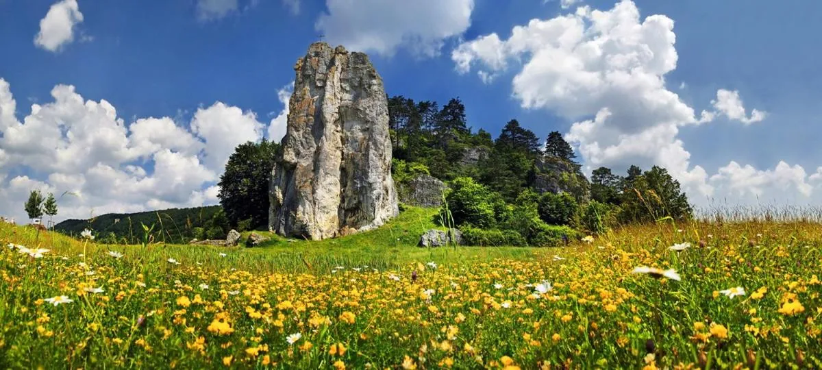 Natural landscape in Hotel-Gasthof zur Sonne