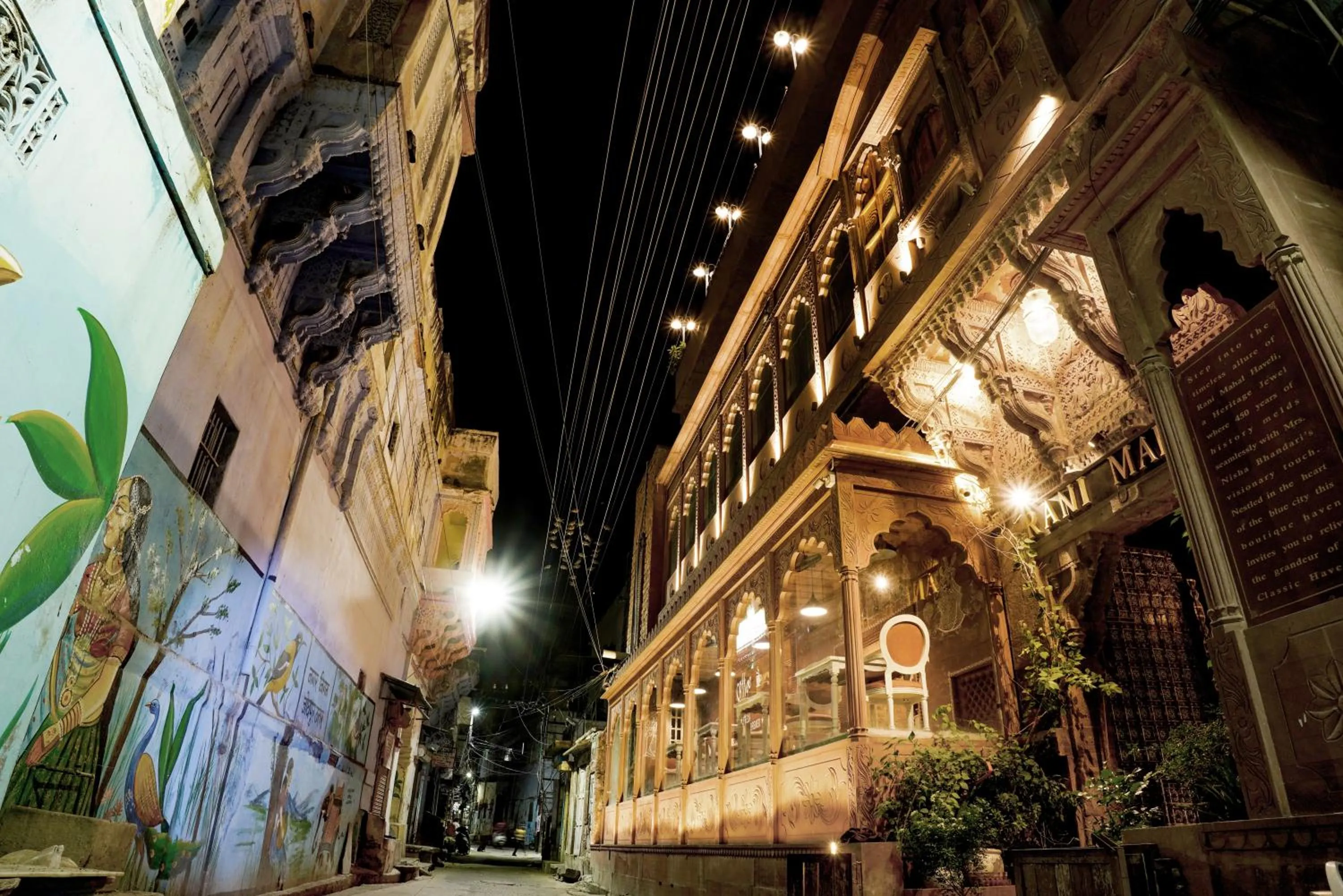 Property building in Rani Mahal