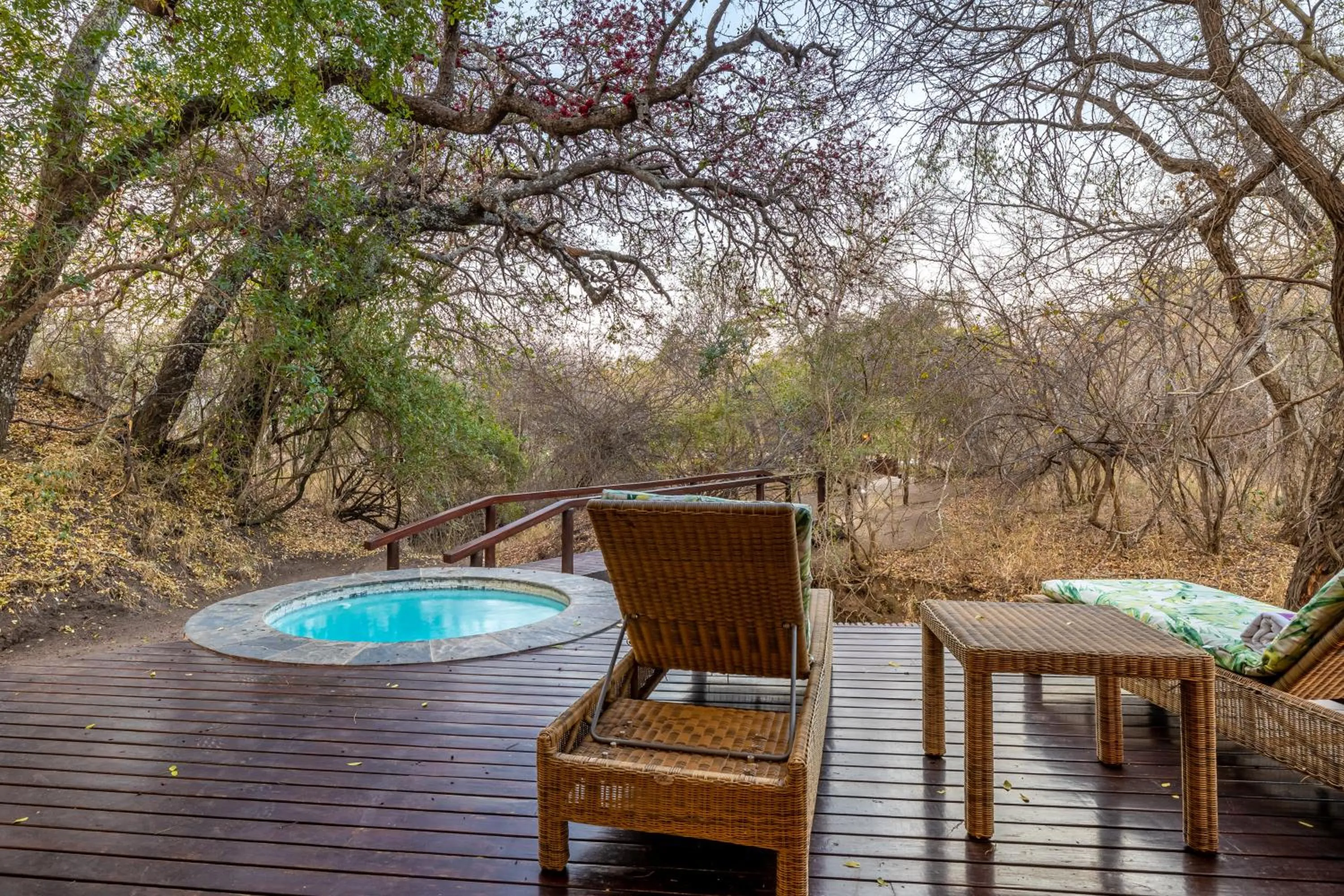Patio in Kusudalweni Safari Lodge and Spa